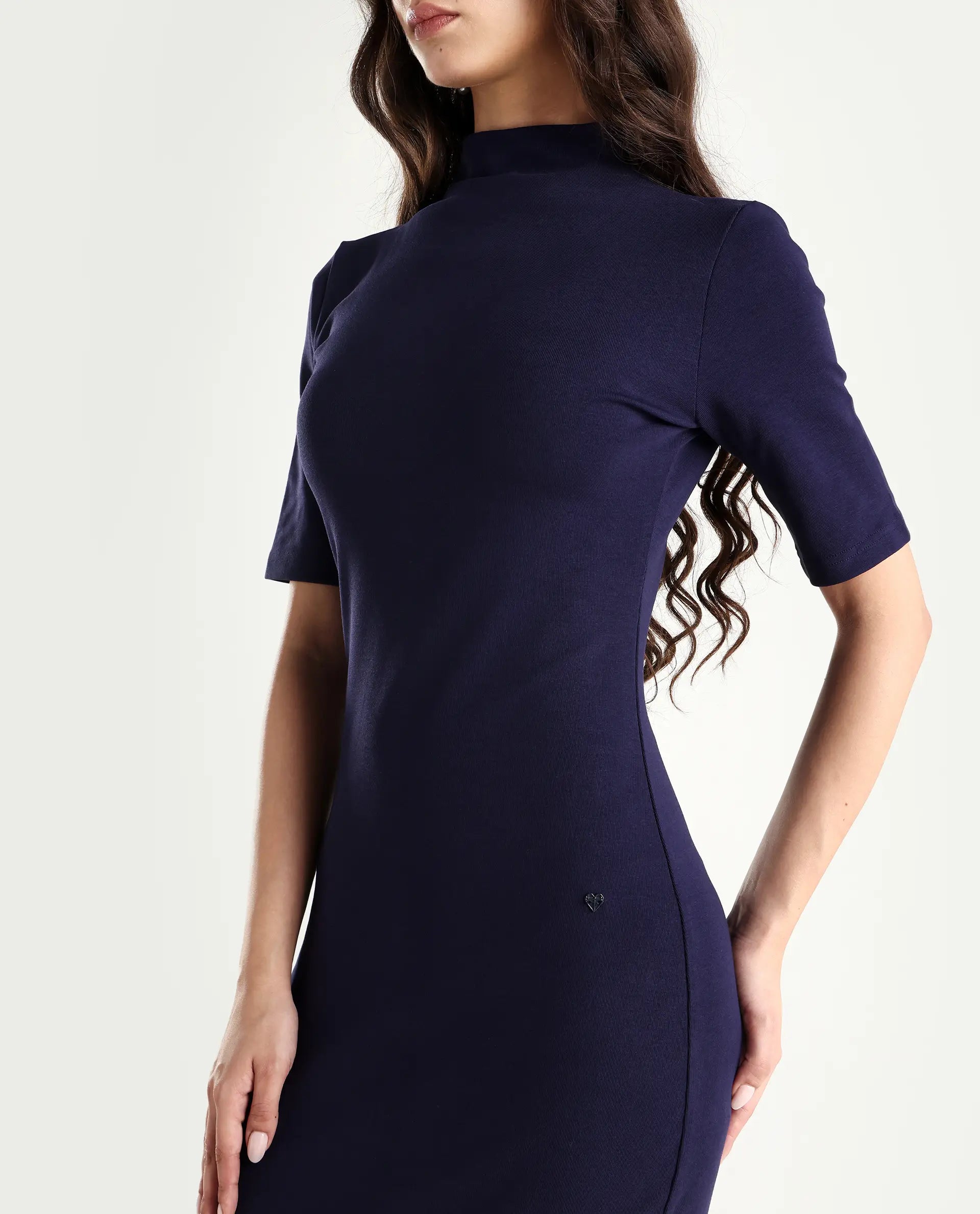 Rareism Women's Rotary Dusky Purple Cotton Blend High Neck Plain Maxi Slim Fit Dress