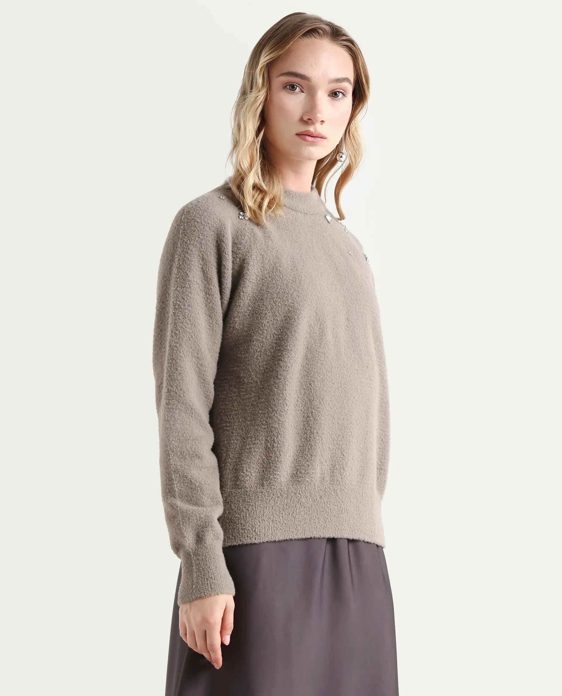 Rareism Women's Jade Dark Beige Nylon Crew Neck Relaxed Fit Sweater