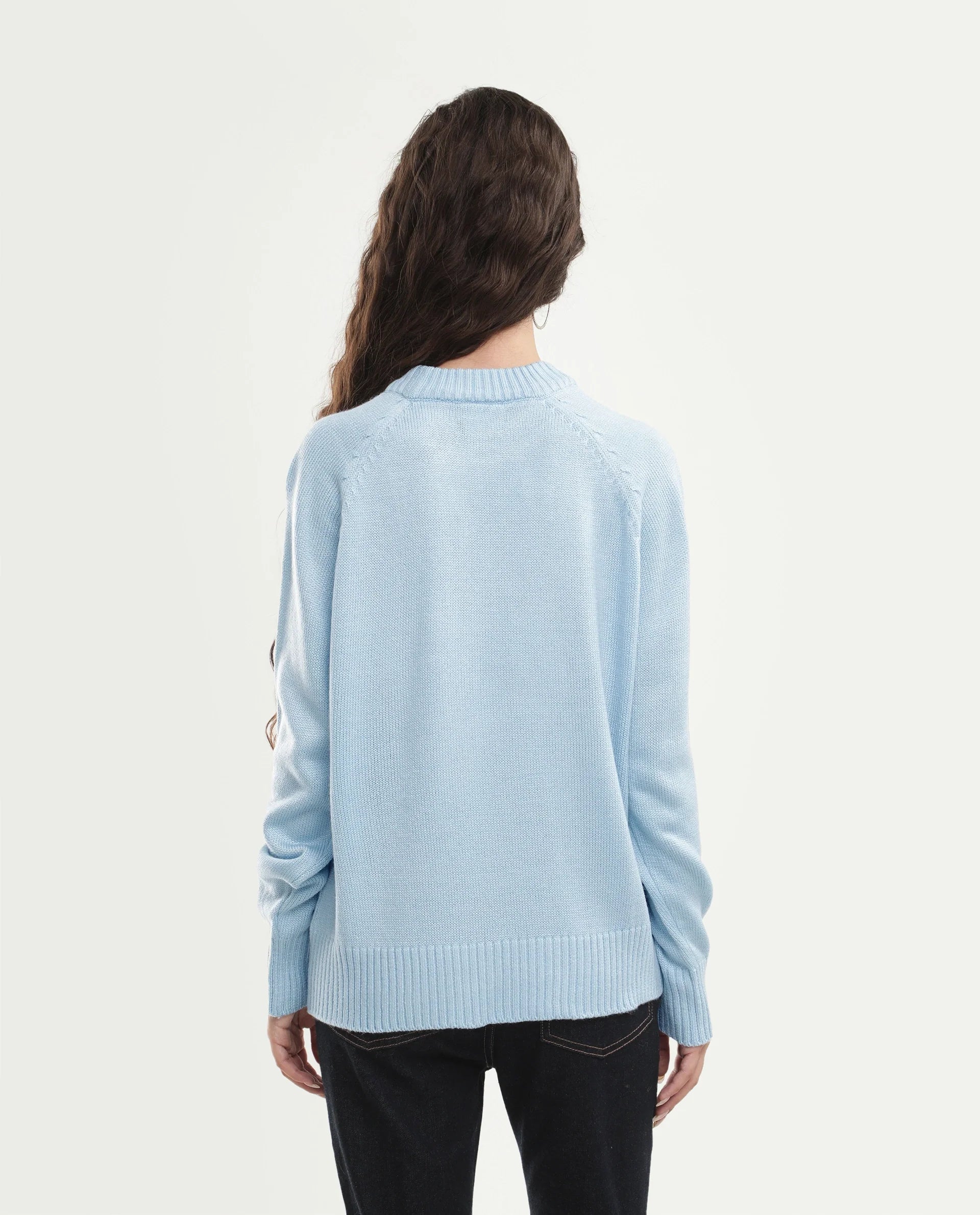 Rareism Women's Mitso Pastel Blue Acrylic Crew Neck Relaxed Fit Plain Sweater