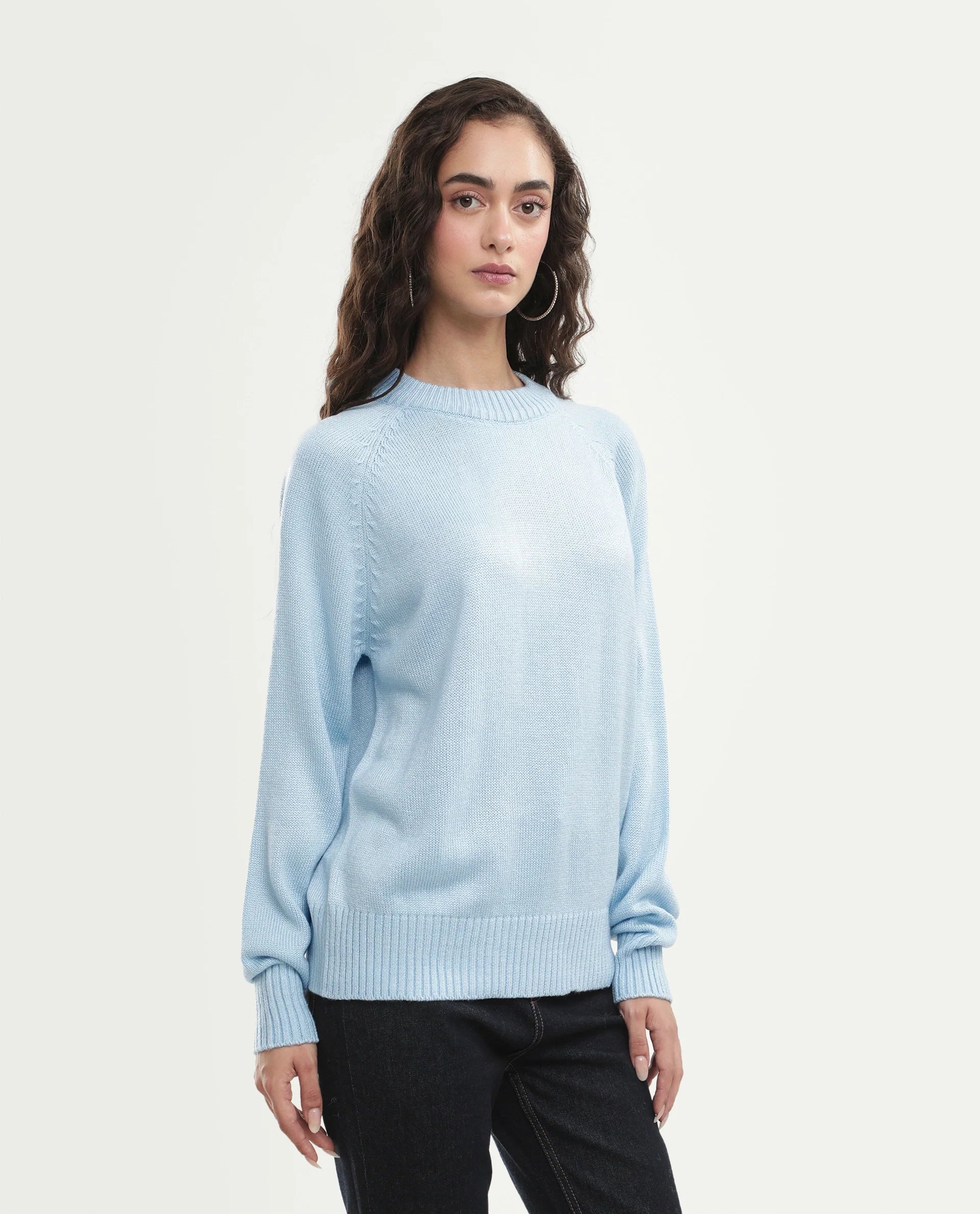 Rareism Women's Mitso Pastel Blue Acrylic Crew Neck Relaxed Fit Plain Sweater