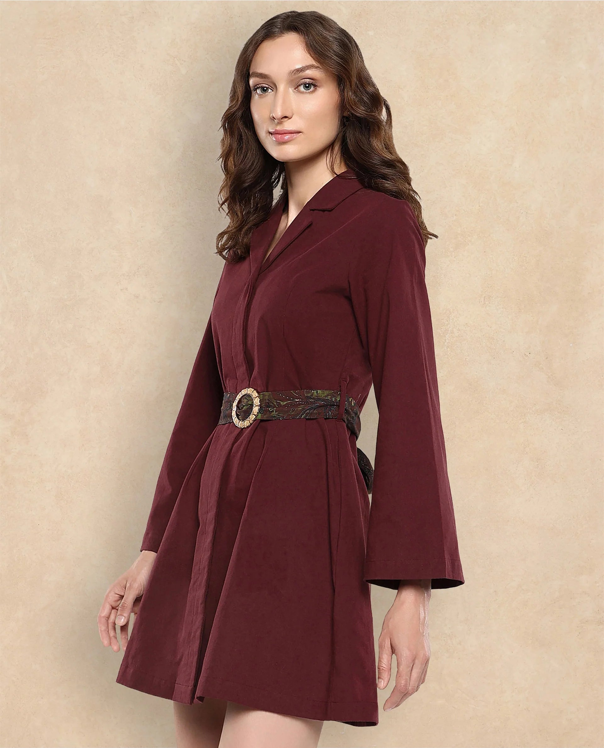 Rareism Women Alvida Brown Full Sleeve Lapel Neck Button Closure A-Line Mini Plain Dress