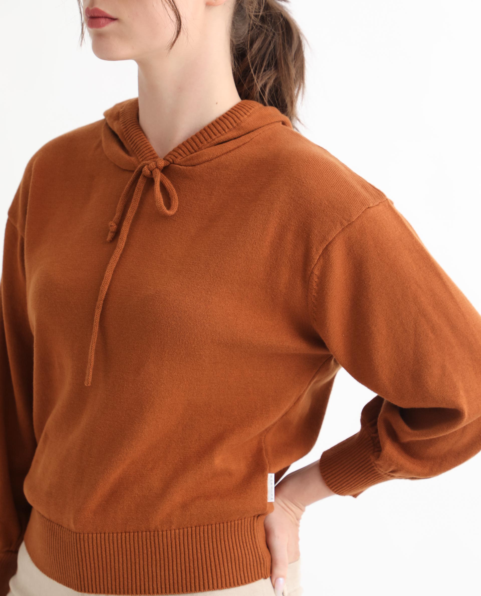 Rareism Women's Finn Sweat Rust Cotton Hooded Plain Relaxed Fit Sweater