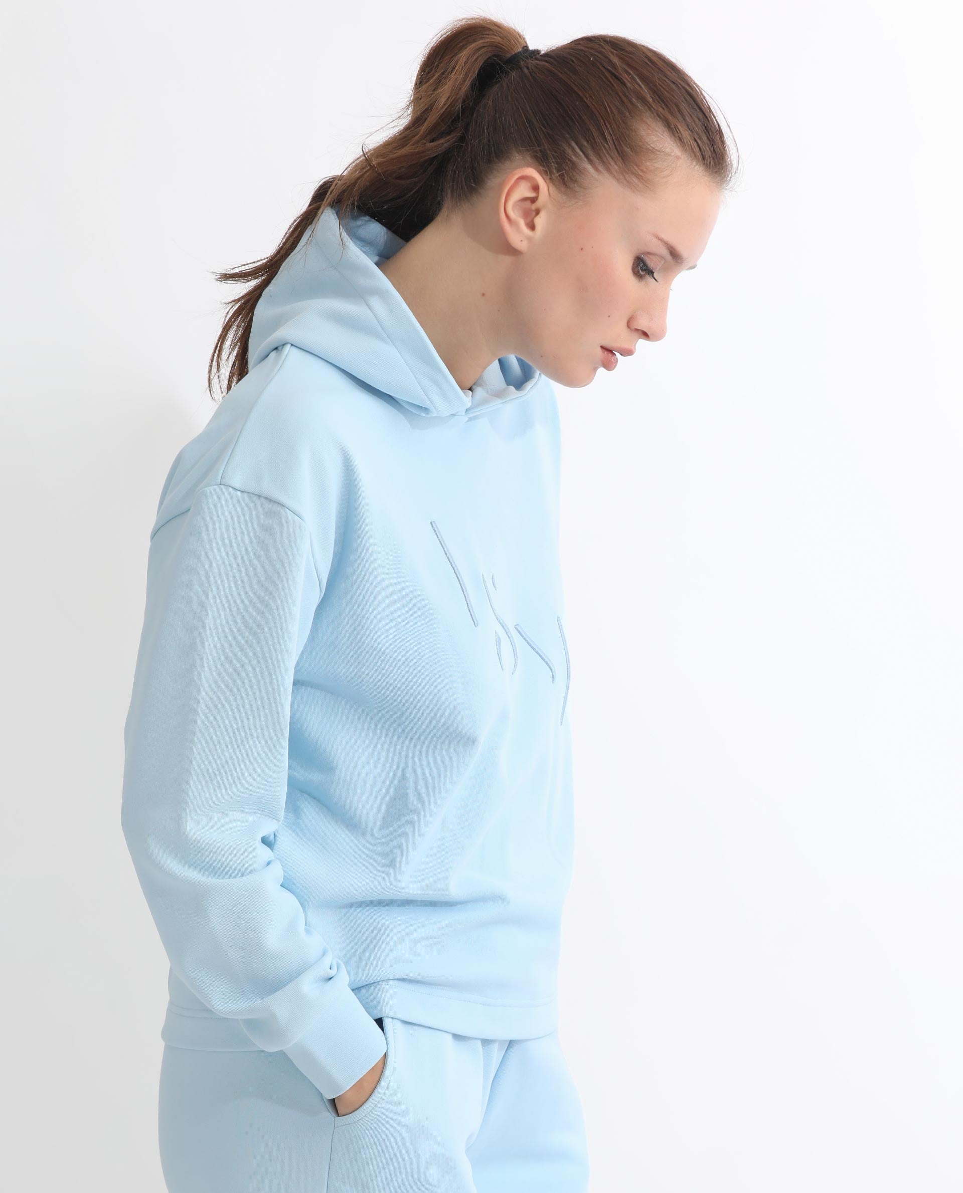 Rareism Women's Golder Light Blue Polyester Blend Hooded Embroidered Regular Fit Sweatshirt