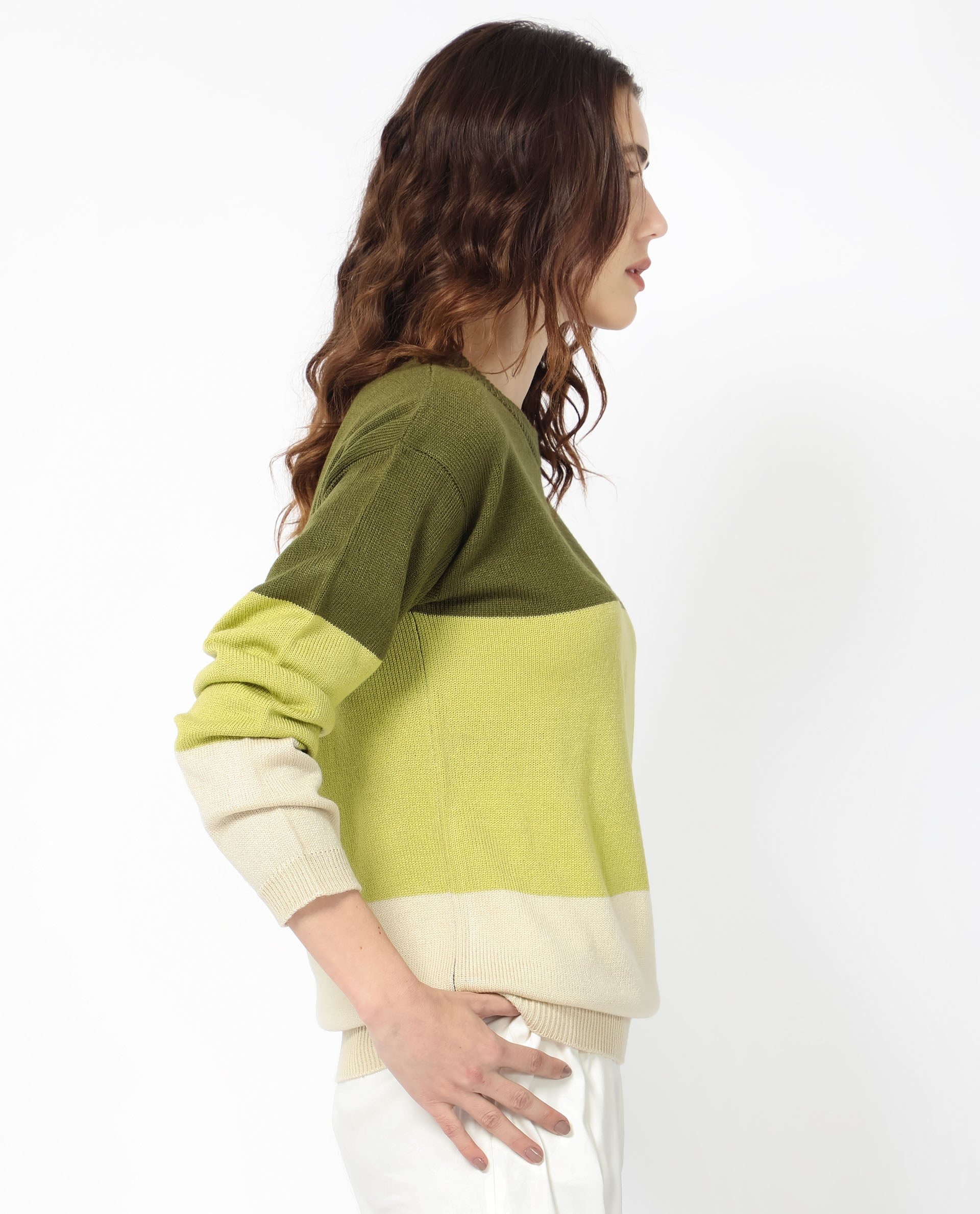 Rareism Women Hampshire Olive Acrylic Fabric Full Sleeves Relaxed Fit Color Blocked Round Neck Sweater