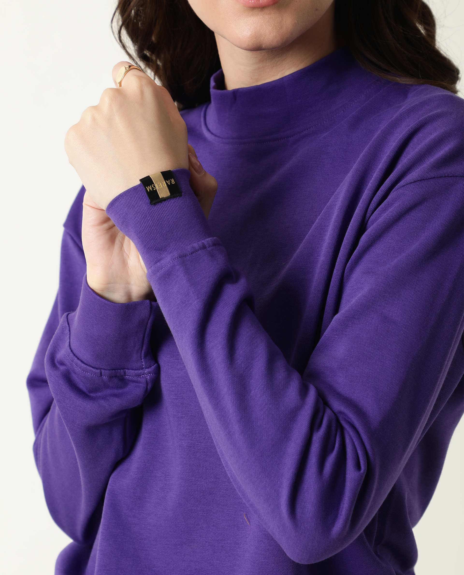 Rareism Women Necker Purple Relaxed Fit Full Sleeves Solid High Neck Sweatshirt
