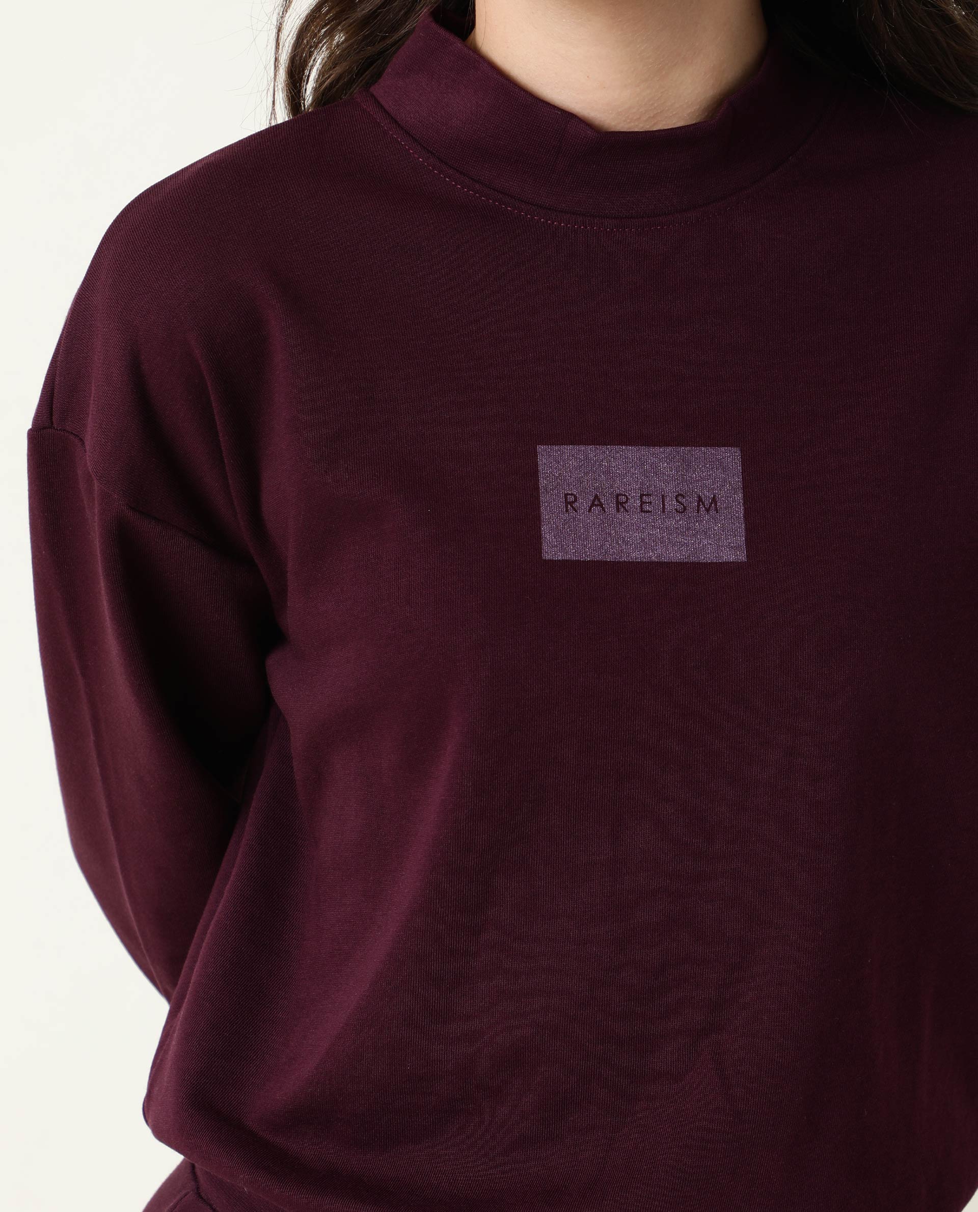 Rareism Women Hectare Dark Purple Cotton Poly Fabric Relaxed Fit Full Sleeves Solid High Neck Sweatshirt
