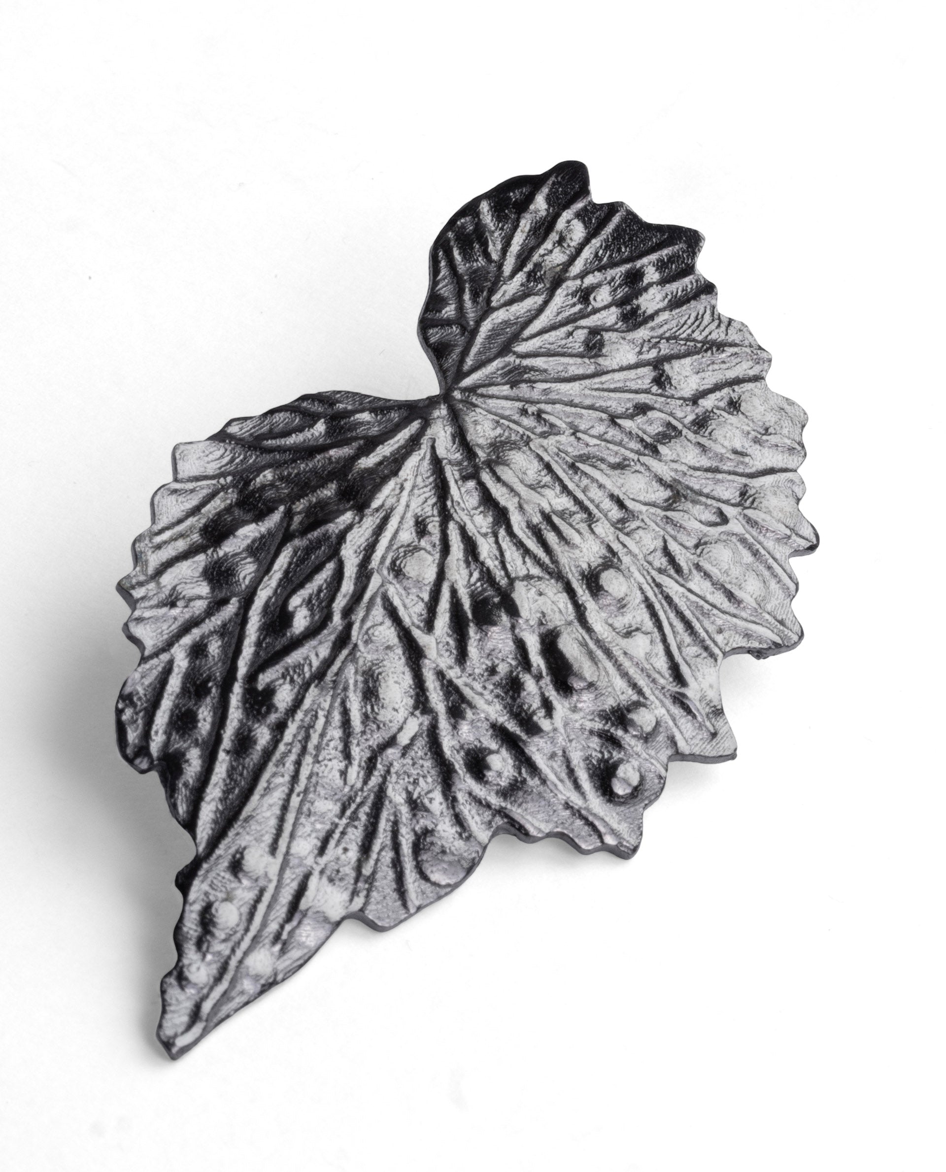 Rareism Women Maple Black Black Earring