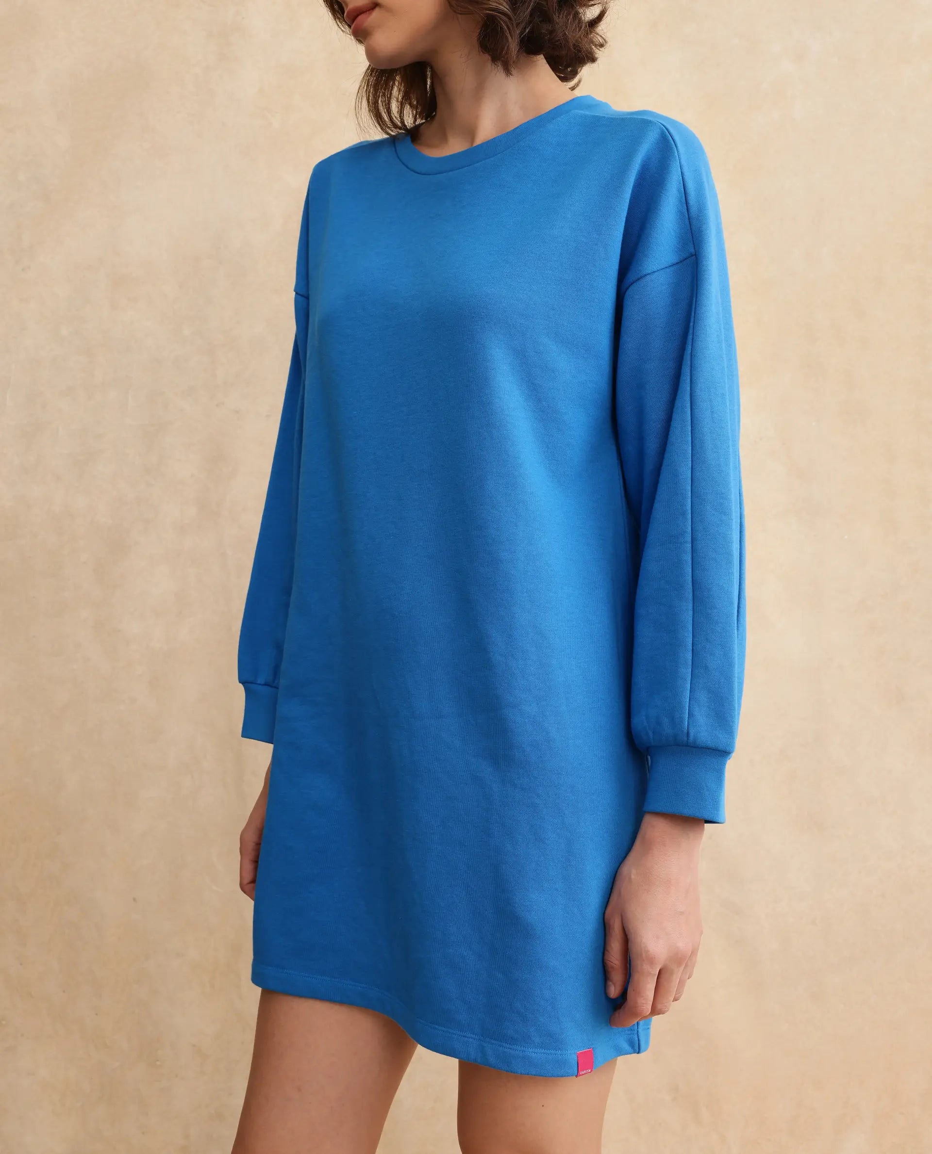 Rareism Women's Mauritz Blue Cotton Blend Crew Neck Plain Knee Length Relaxed Fit Sweatshirt