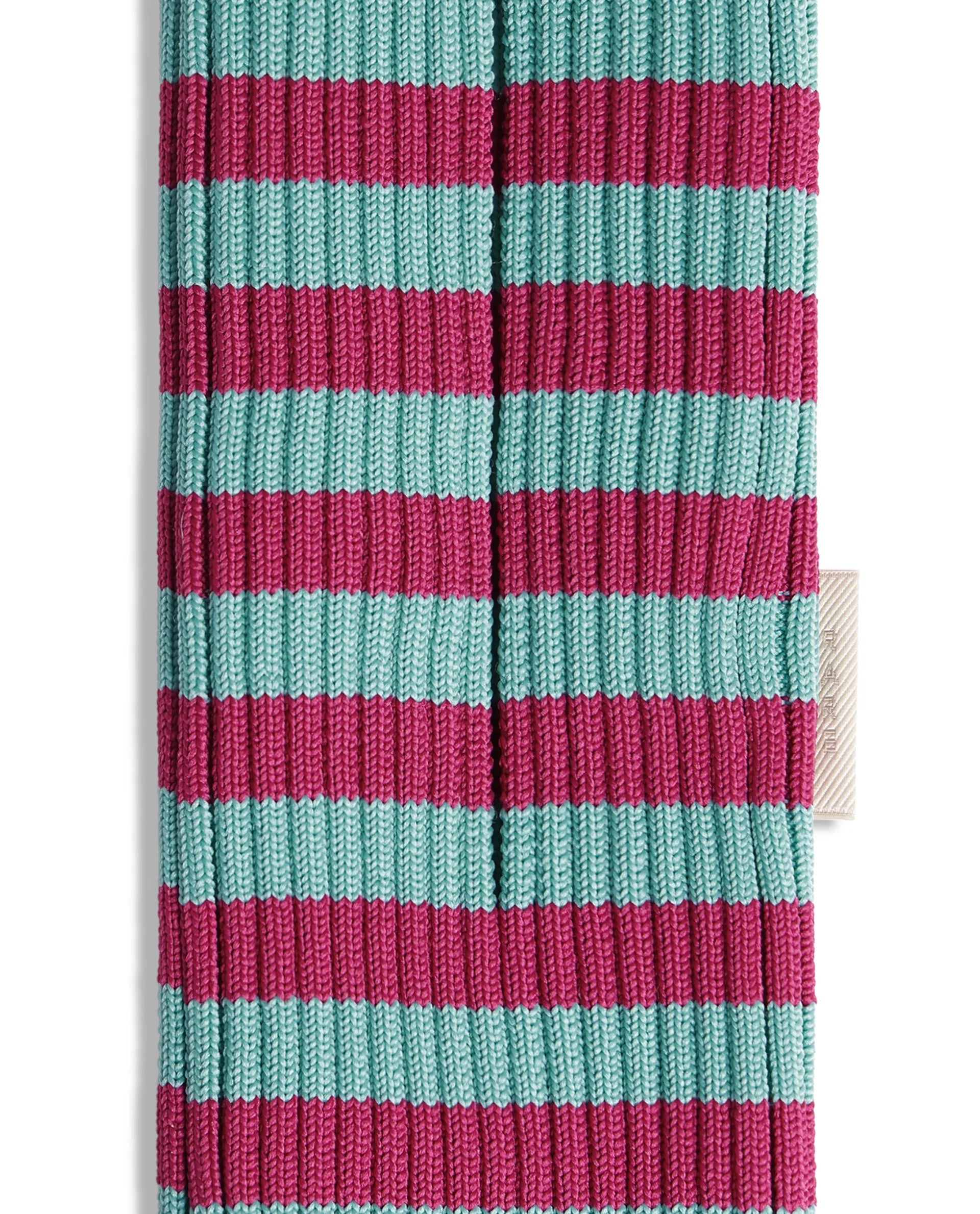 Rareism Women's Mobile Pouch Fluorescent Aqua Polyester Striped Mobile Pouches