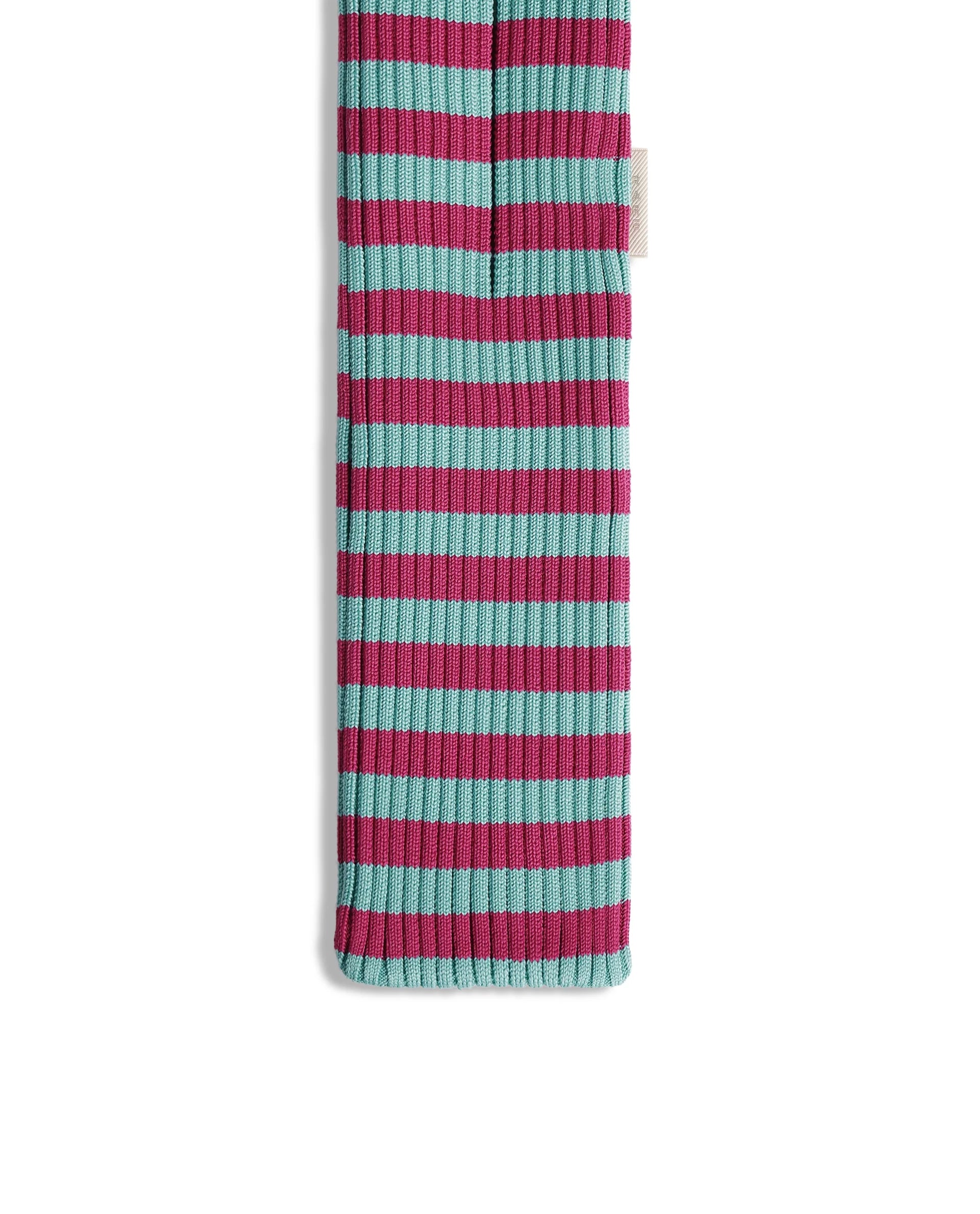 Rareism Women's Mobile Pouch Fluorescent Aqua Polyester Striped Mobile Pouches