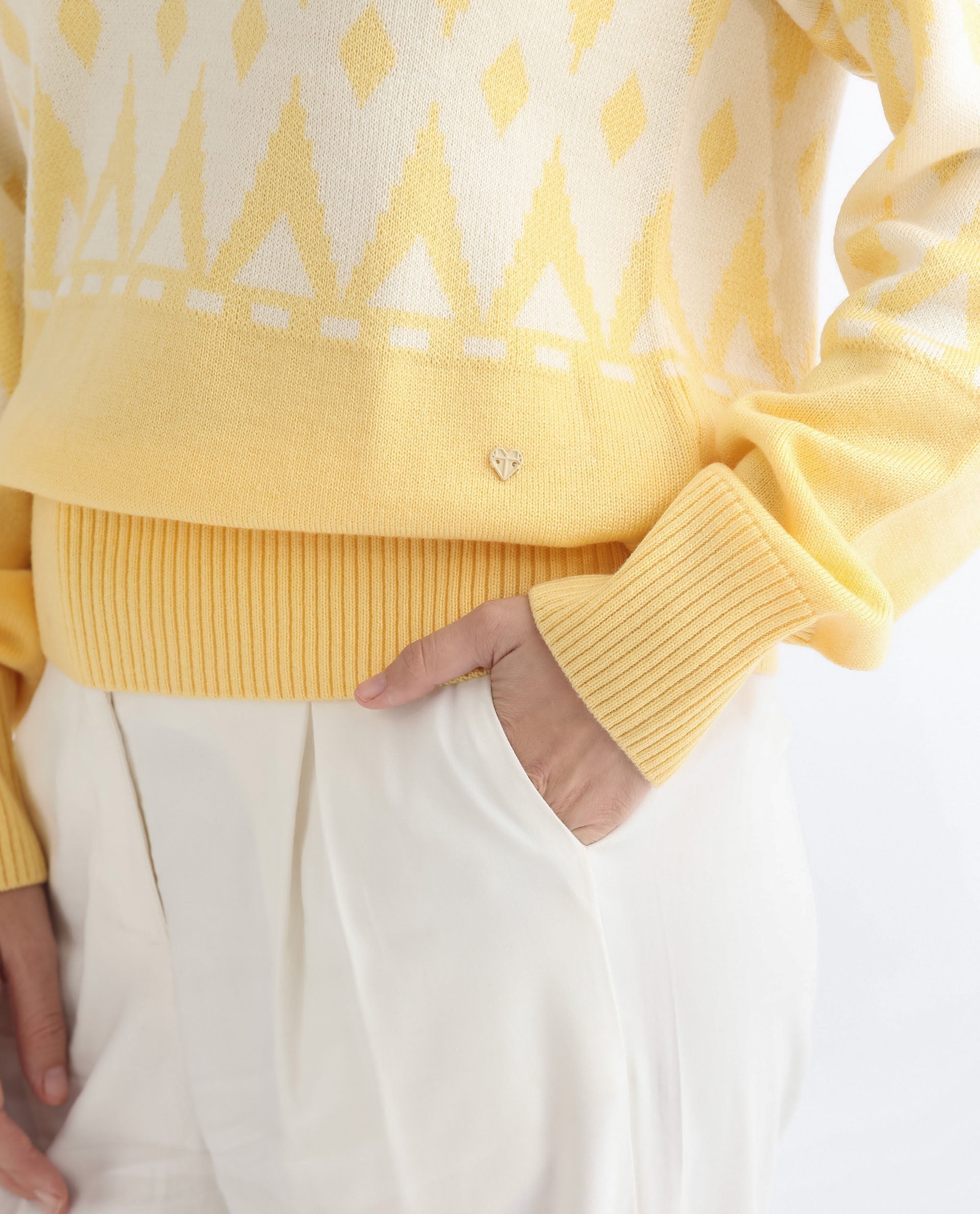 Rareism Women Ronnie Yellow Acrylic Fabric Full Sleeves Relaxed Fit Color Blocked V-Neck Sweater