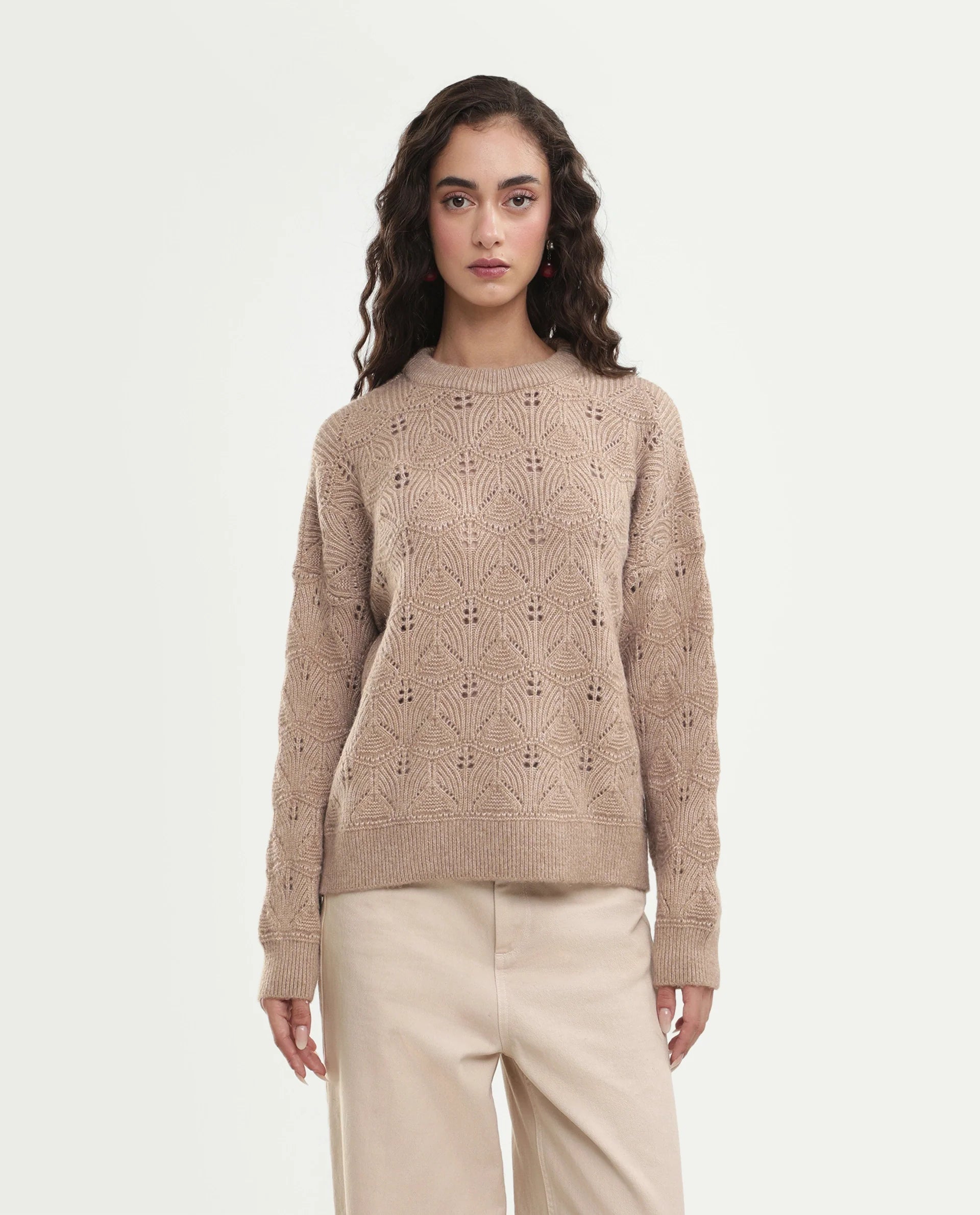 Rareism Women's Lan-Rsm Dark Beige Acrylic Blend Pull-On Relaxed Fit Sweater