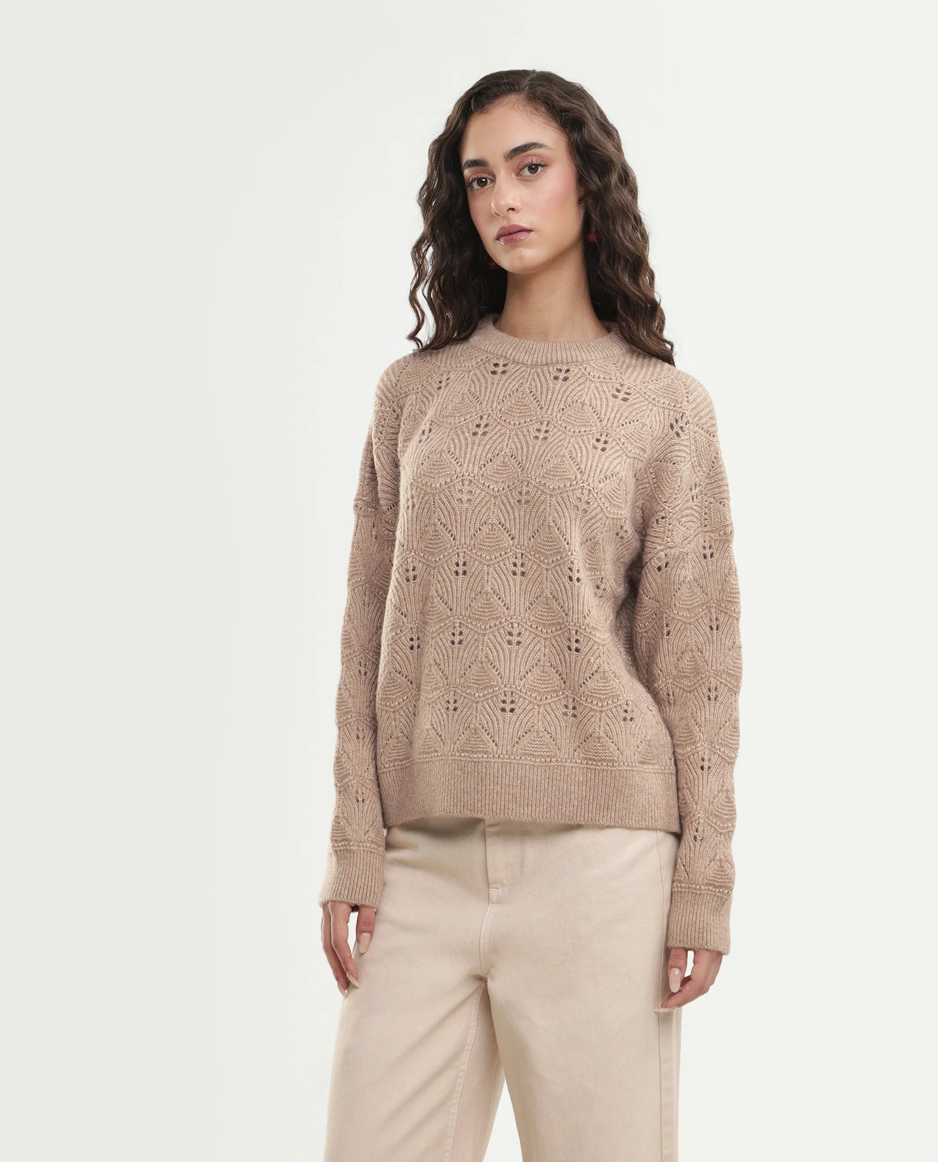 Rareism Women's Lan-Rsm Dark Beige Acrylic Blend Pull-On Relaxed Fit Sweater