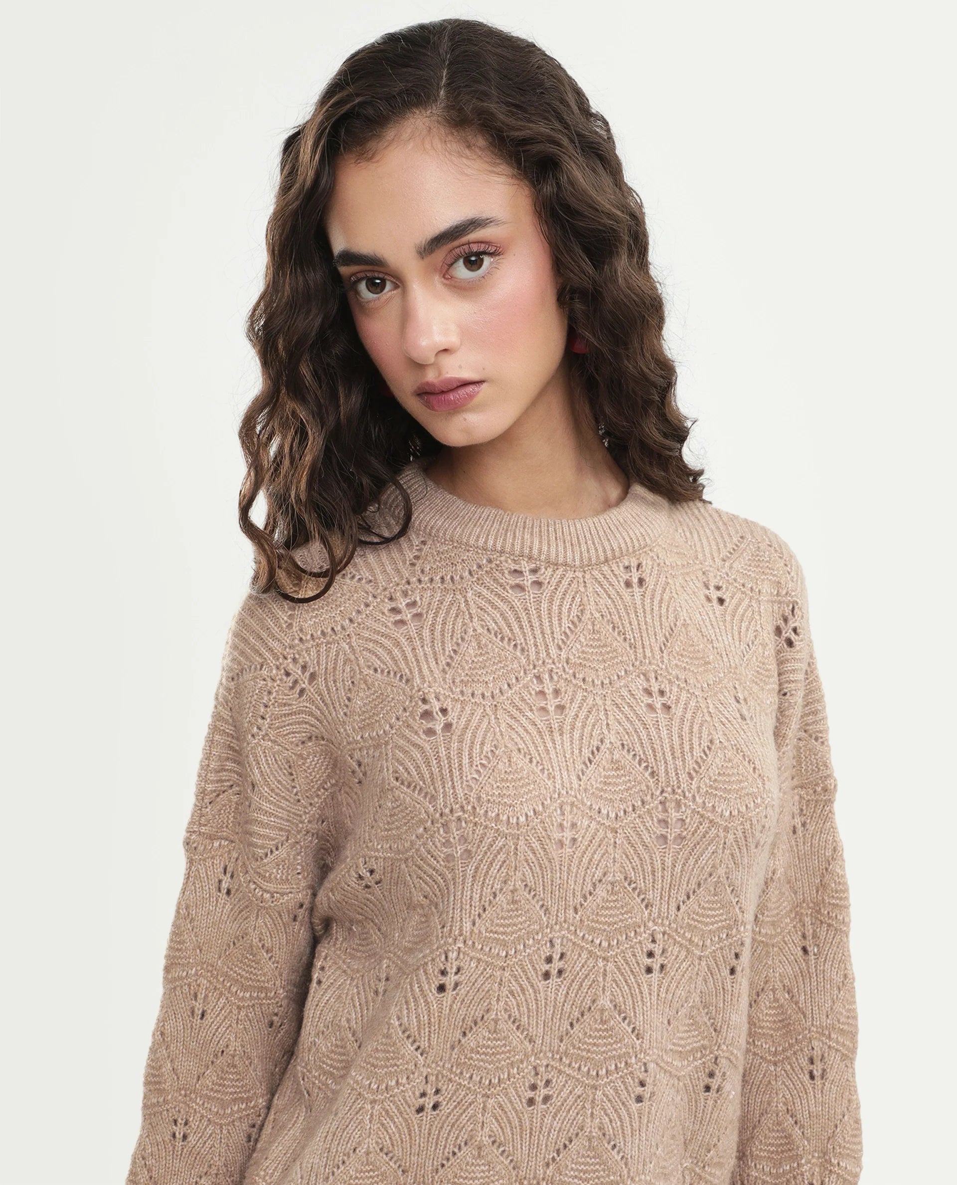 Rareism Women's Lan-Rsm Dark Beige Acrylic Blend Pull-On Relaxed Fit Sweater