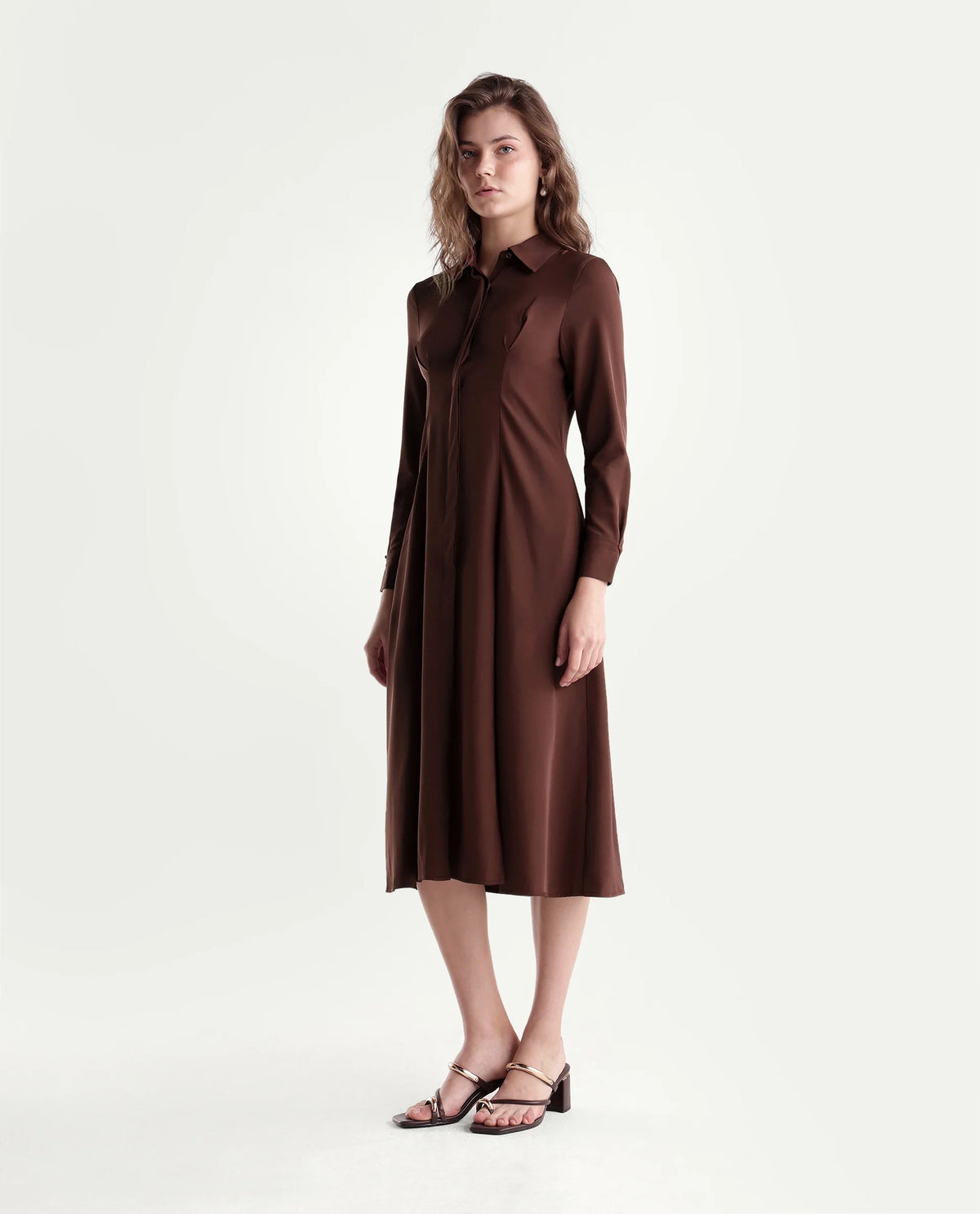 Rareism Women's Qovai Brown Polyester Spread Collar Flared Plain Dress