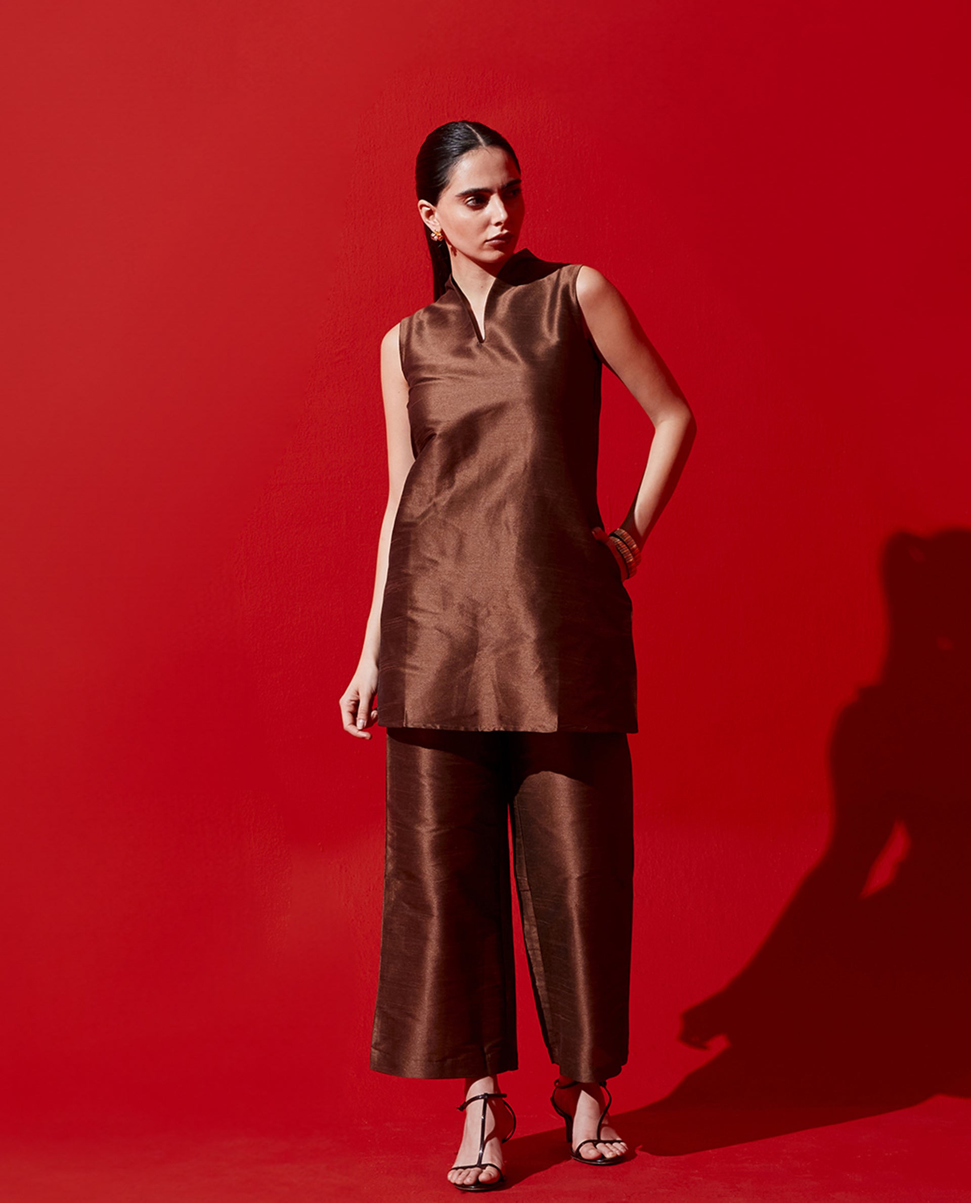 Rareism Women Kamla - B Dark Brown Zipper Closure Straight Fit Ankle Length Plain Trouser