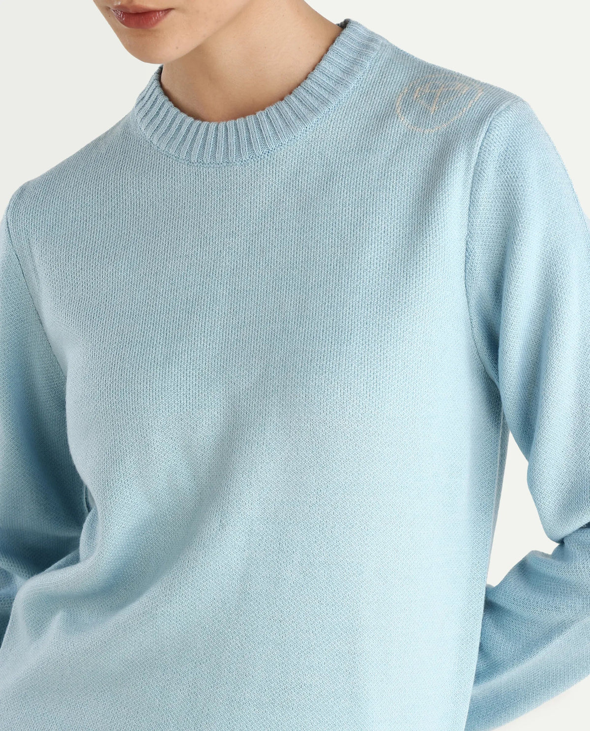 Rareism Women's Ruto Light Blue Acrylic Crew Neck Plain Relaxed Fit Sweater