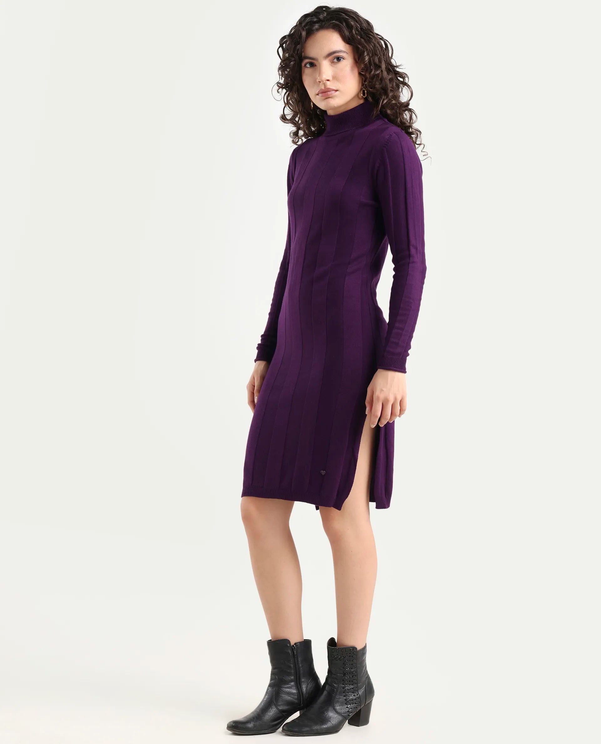 Rareism Women's Knitka Purple Viscose Turtle Neck Striped Knee Length Regular Fit Sweater