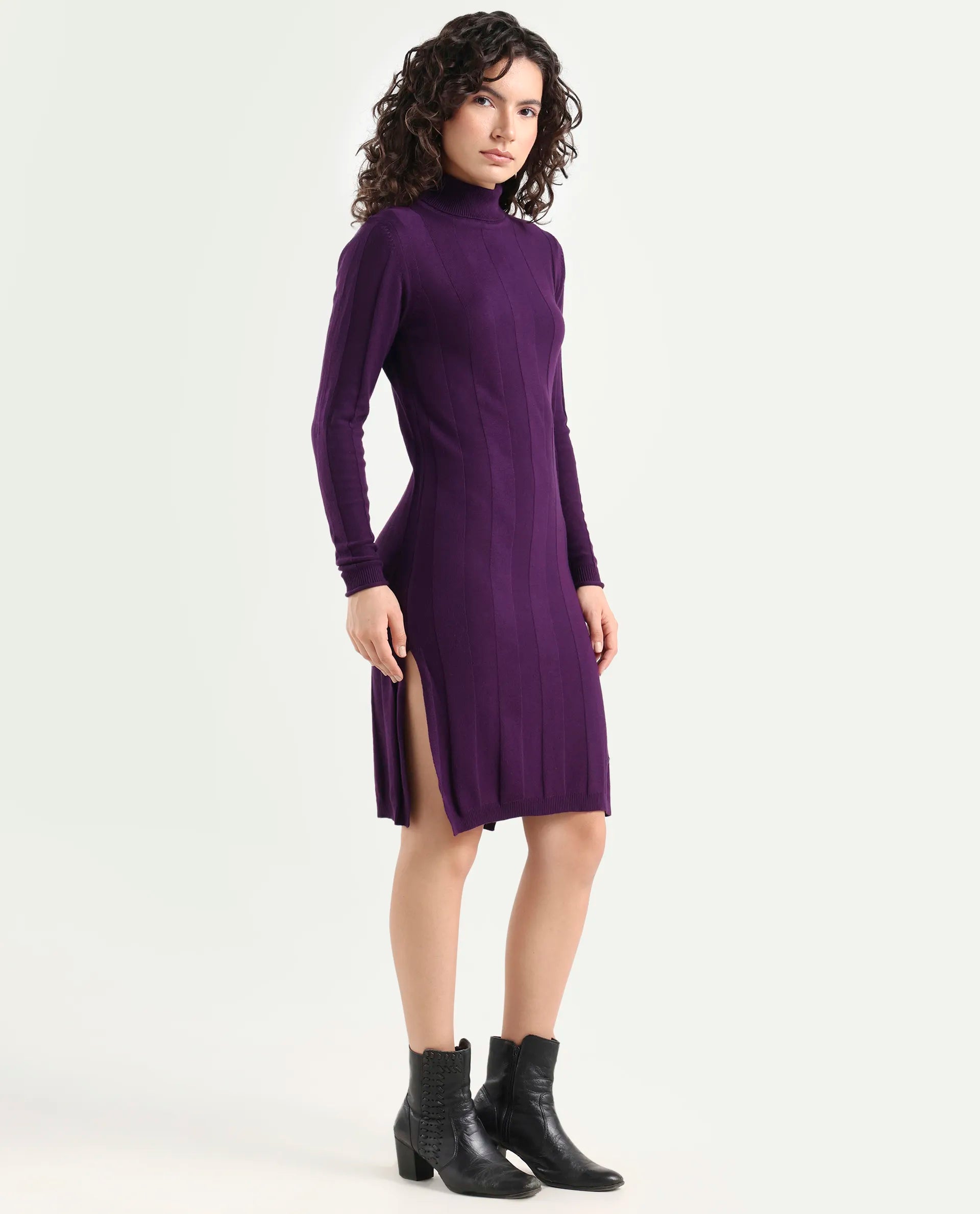 Rareism Women's Knitka Purple Viscose Turtle Neck Striped Knee Length Regular Fit Sweater
