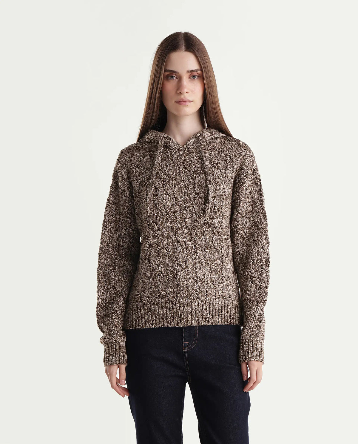 Rareism Women's Lisha Dark Brown Acrylic Blend Hooded Relaxed Plain Sweater