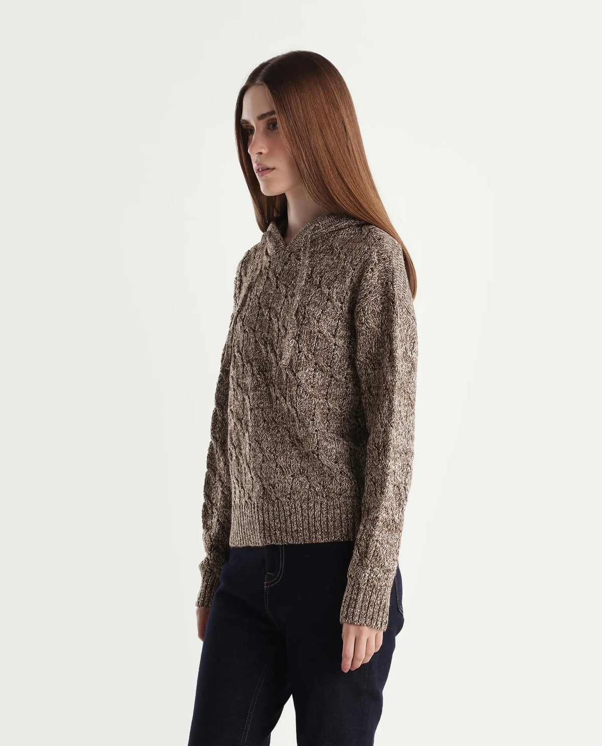 Rareism Women's Lisha Dark Brown Acrylic Blend Hooded Relaxed Plain Sweater
