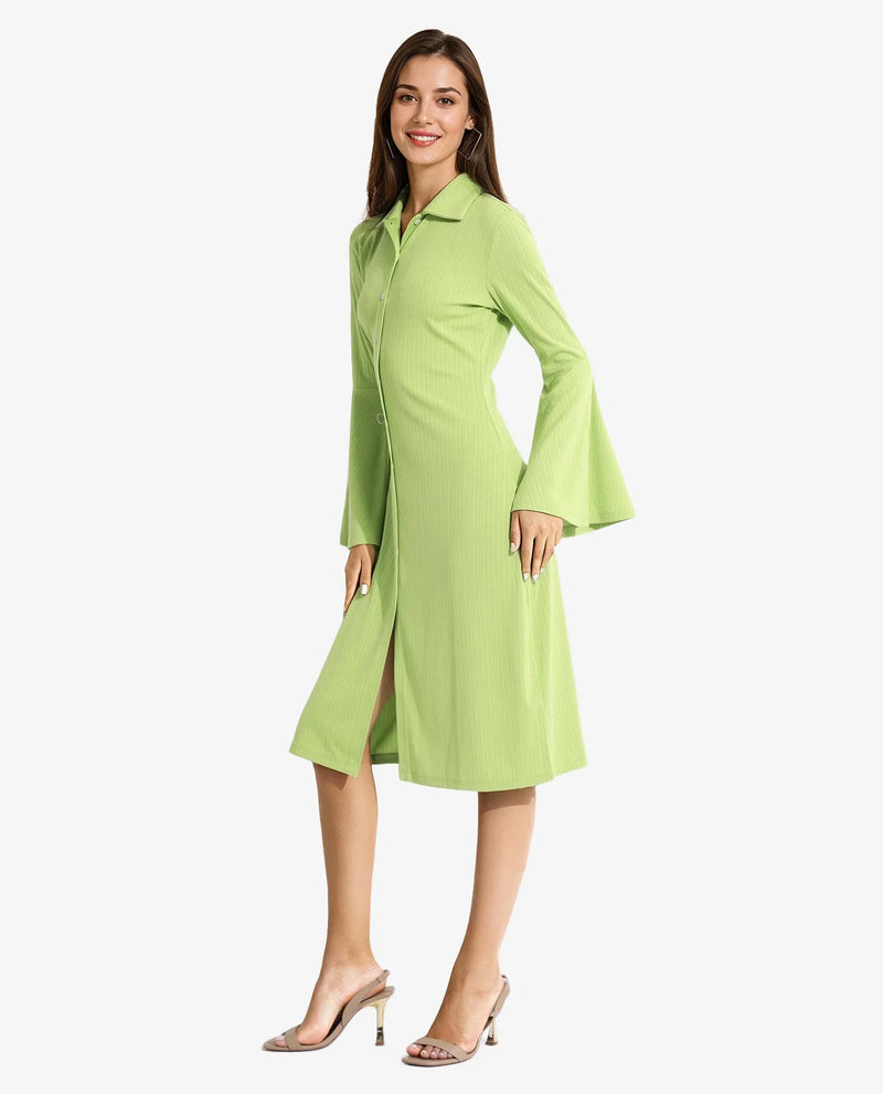 Rareism Women Aqua Flouroscent Green Full Sleeve Collared Neck Button Closure A-Line Midi Plain Dress