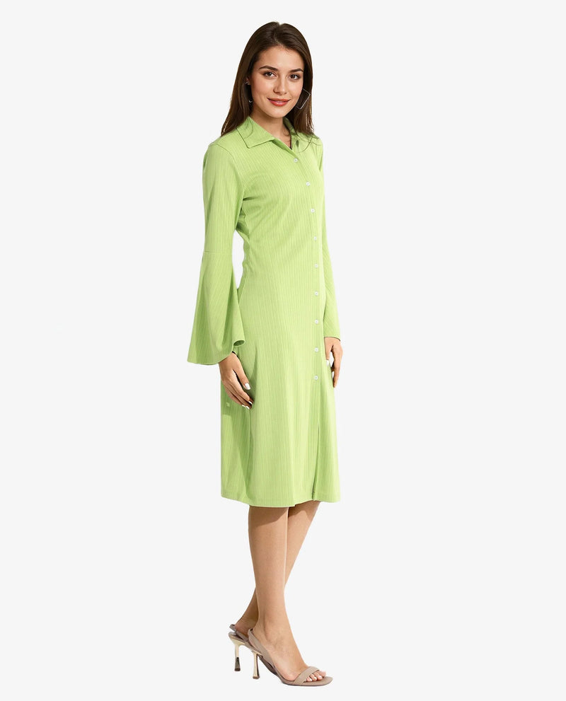 Rareism Women Aqua Flouroscent Green Full Sleeve Collared Neck Button Closure A-Line Midi Plain Dress