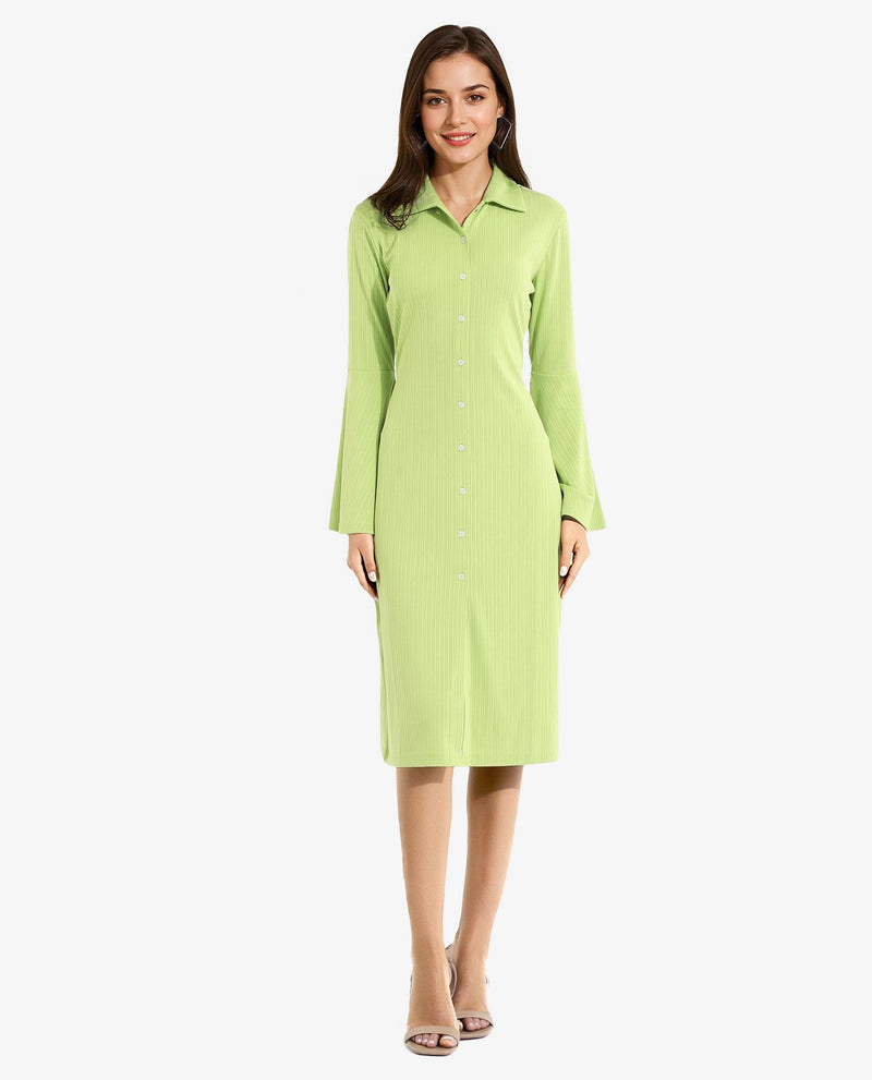 Rareism Women Aqua Flouroscent Green Full Sleeve Collared Neck Button Closure A-Line Midi Plain Dress