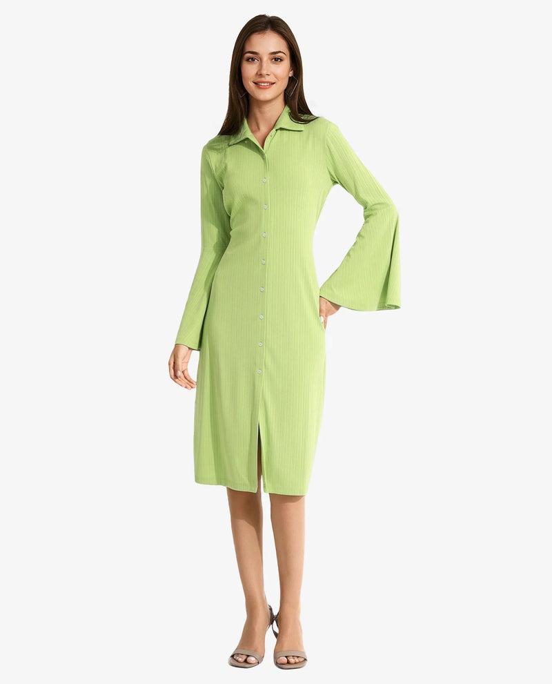 Rareism Women Aqua Flouroscent Green Full Sleeve Collared Neck Button Closure A-Line Midi Plain Dress