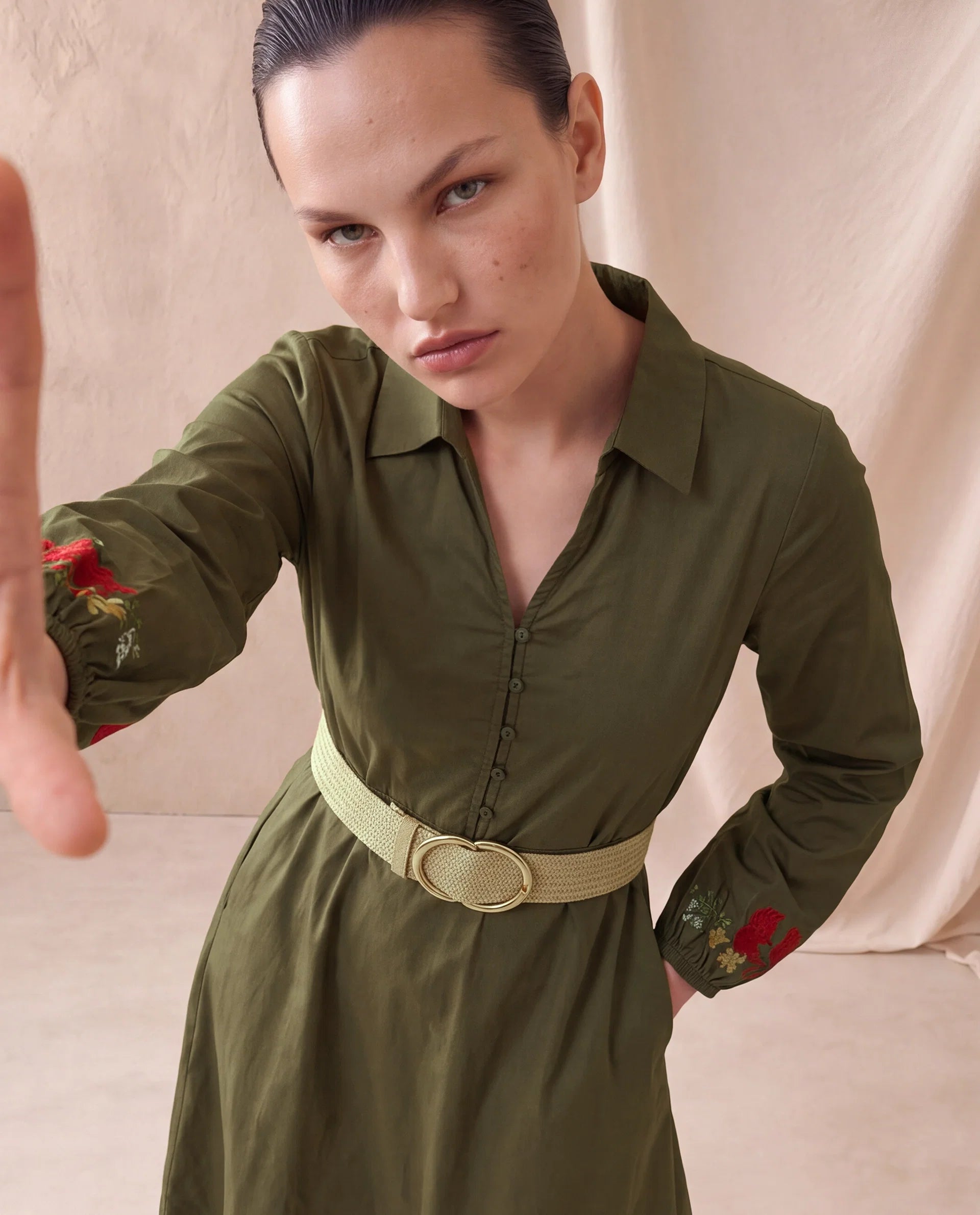 Rareism Women's Avaci Olive Cotton Full Sleeve Fit And Flare Plain Dress
