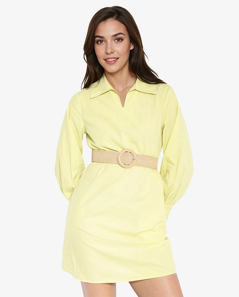 Rareism Women Earo Light Green Cuffed Sleeve Collared Neck Mini Plain Dress