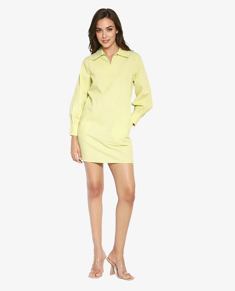 Rareism Women Earo Light Green Cuffed Sleeve Collared Neck Mini Plain Dress