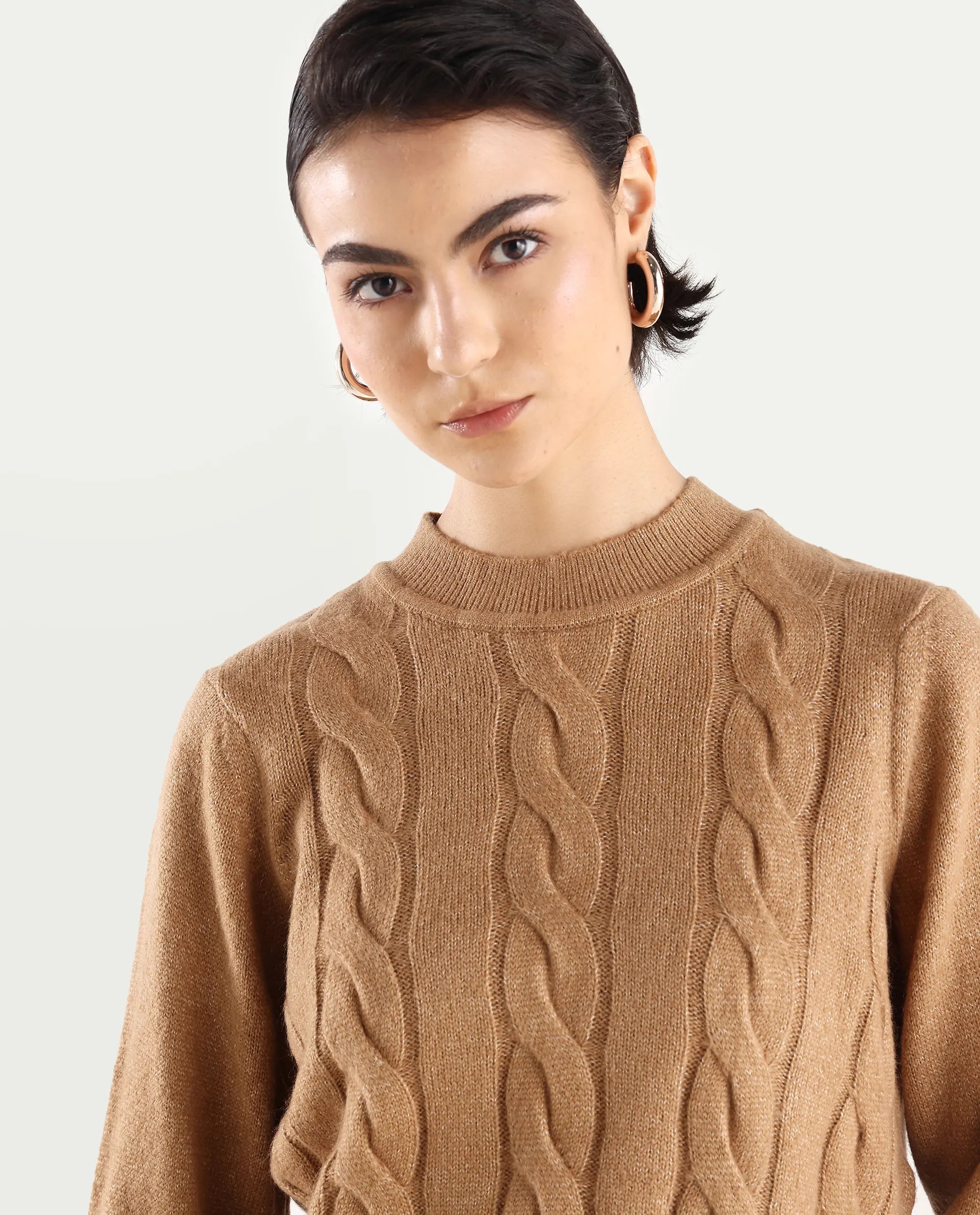 Rareism Women's Emm Camel Acrylic Crew Neck Plain Regular Fit Sweater