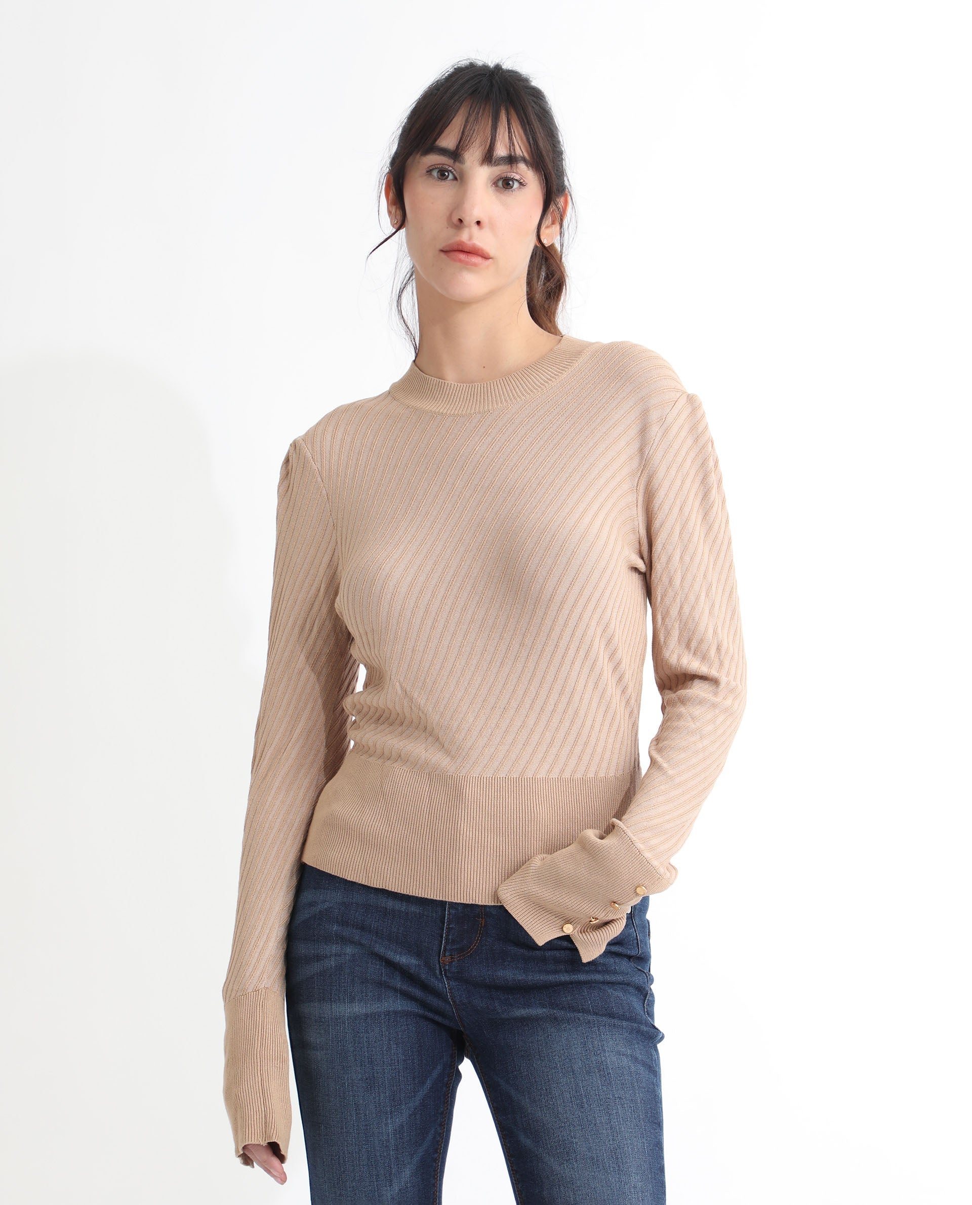 Rareism Women Fischer Beige Viscose Fabric Full Sleeves Knee Length Regular Fit Solid High Neck Sweater