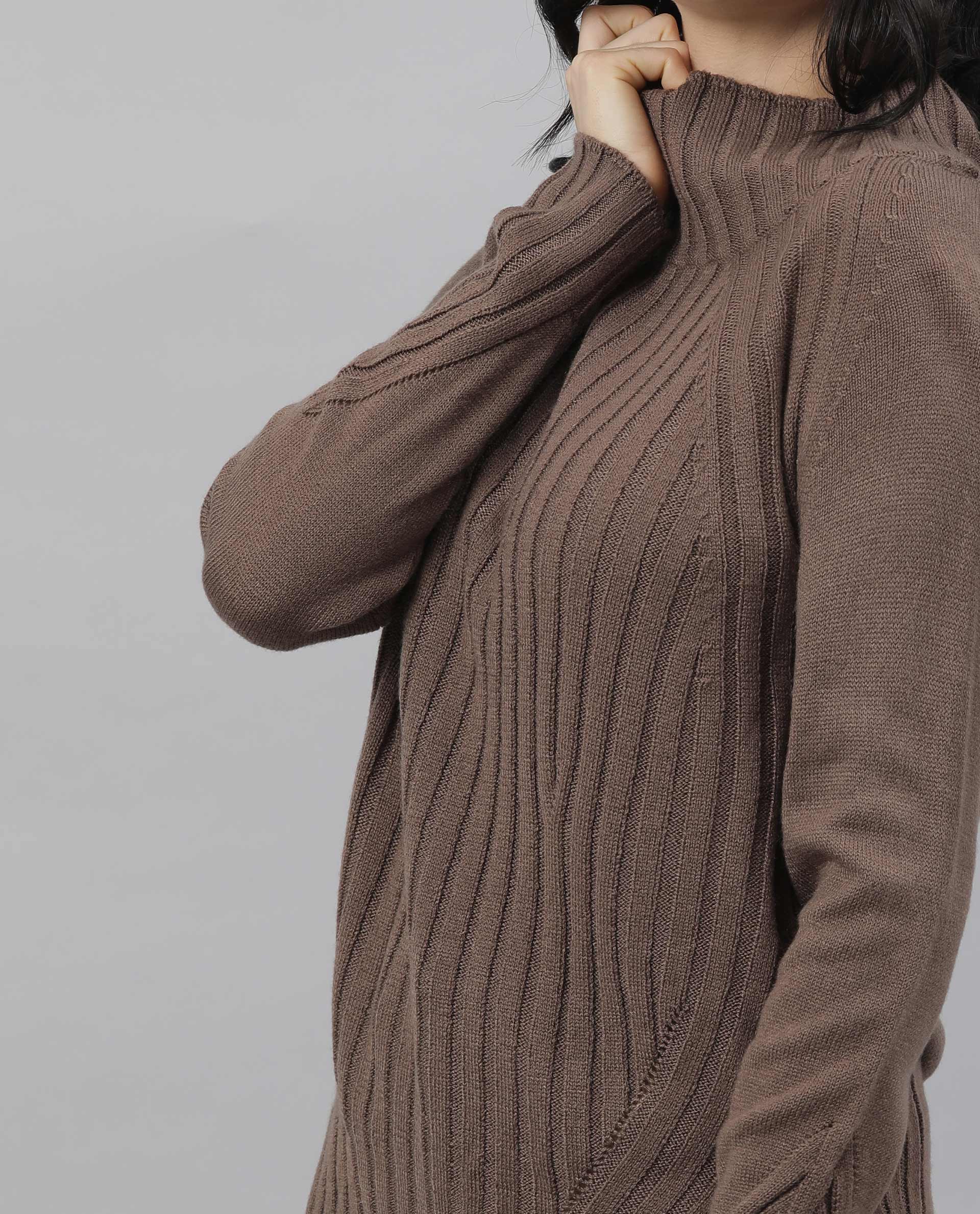 Rareism Women Halo Brown Acrylic Fabric Full Sleeves Regular Fit Solid High Neck Sweater