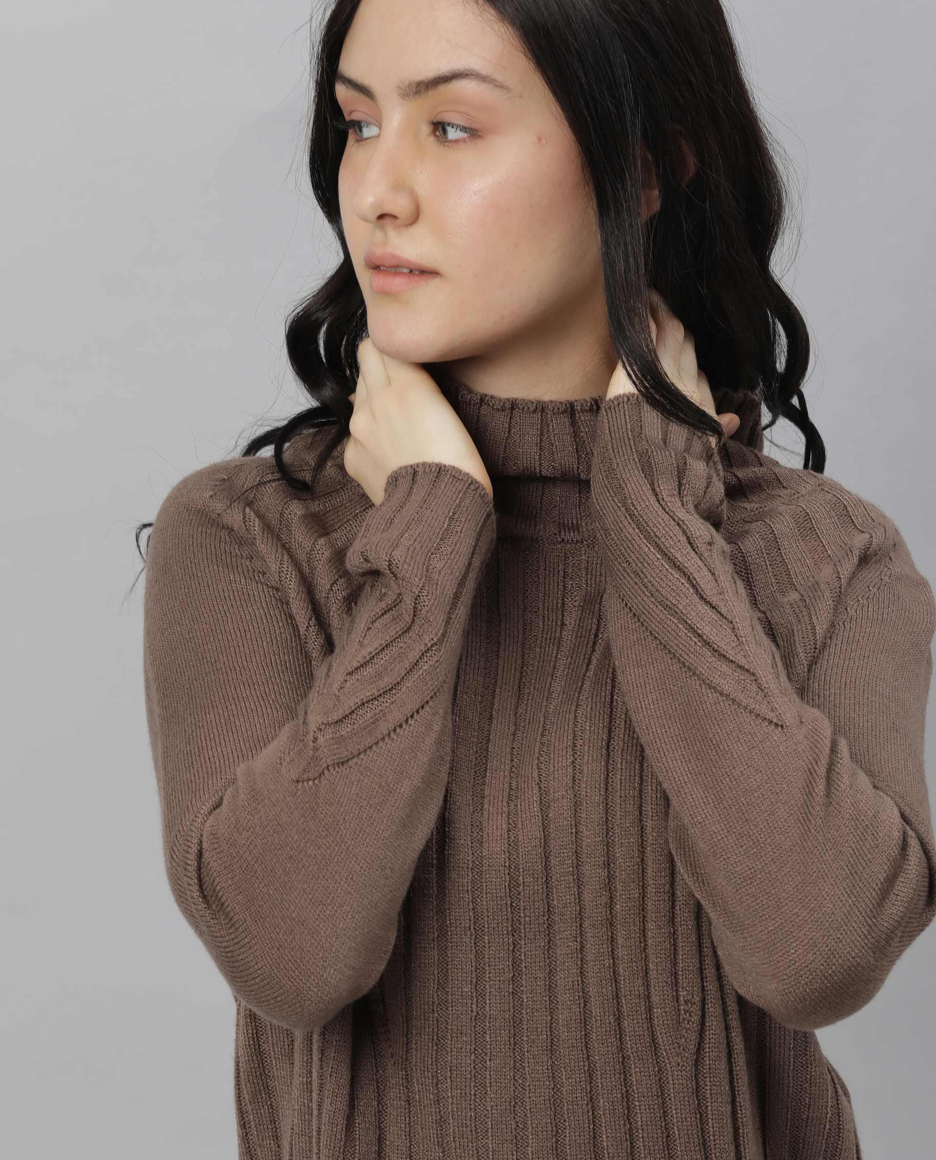 Rareism Women Halo Brown Acrylic Fabric Full Sleeves Regular Fit Solid High Neck Sweater
