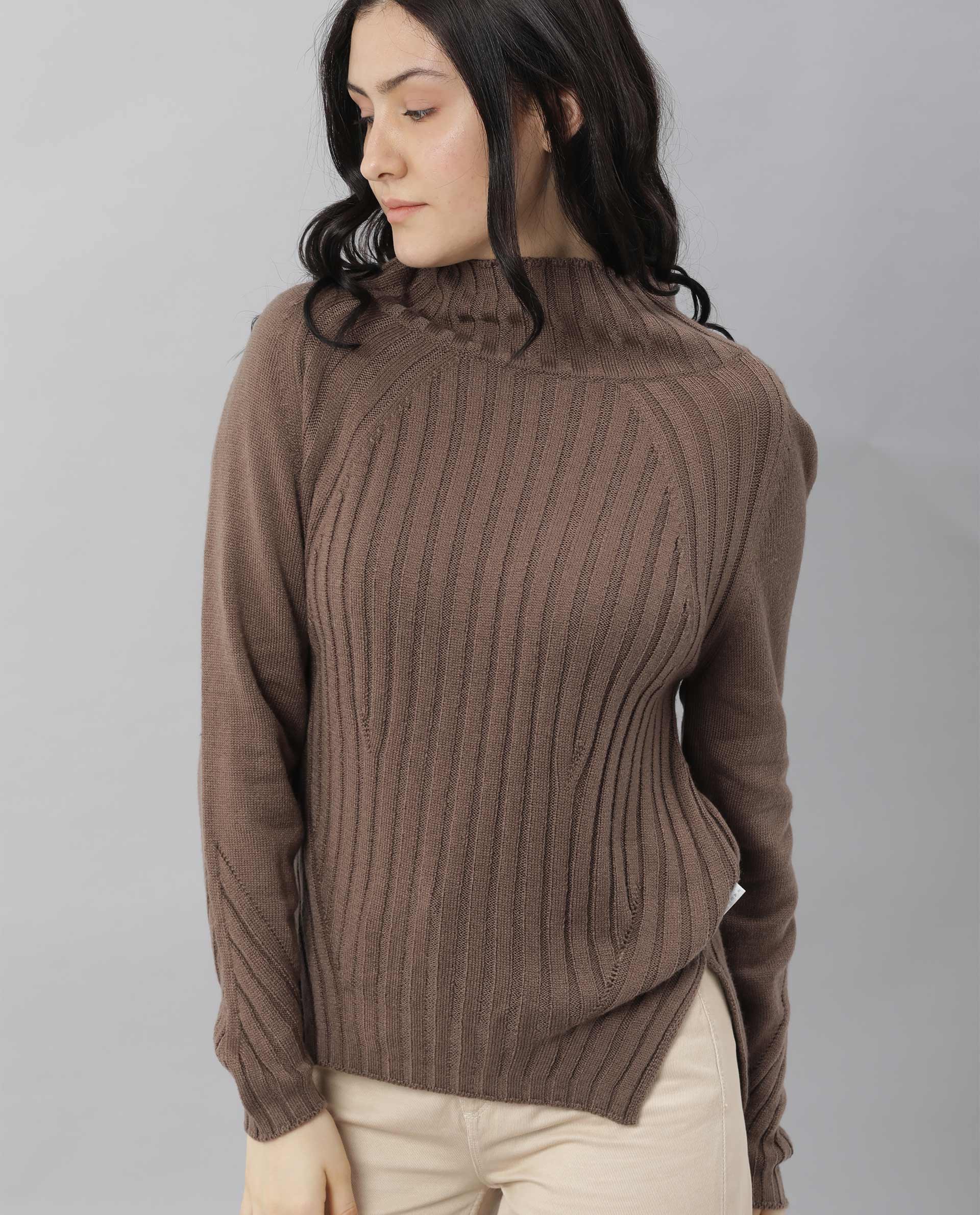 Rareism Women Halo Brown Acrylic Fabric Full Sleeves Regular Fit Solid High Neck Sweater