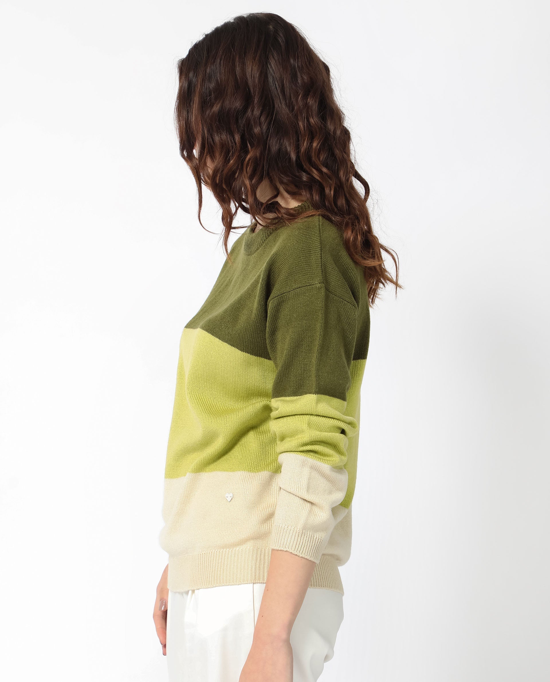 Rareism Women's Hampshire Olive Acrylic Crew Neck Color Block Relaxed Fit Sweater