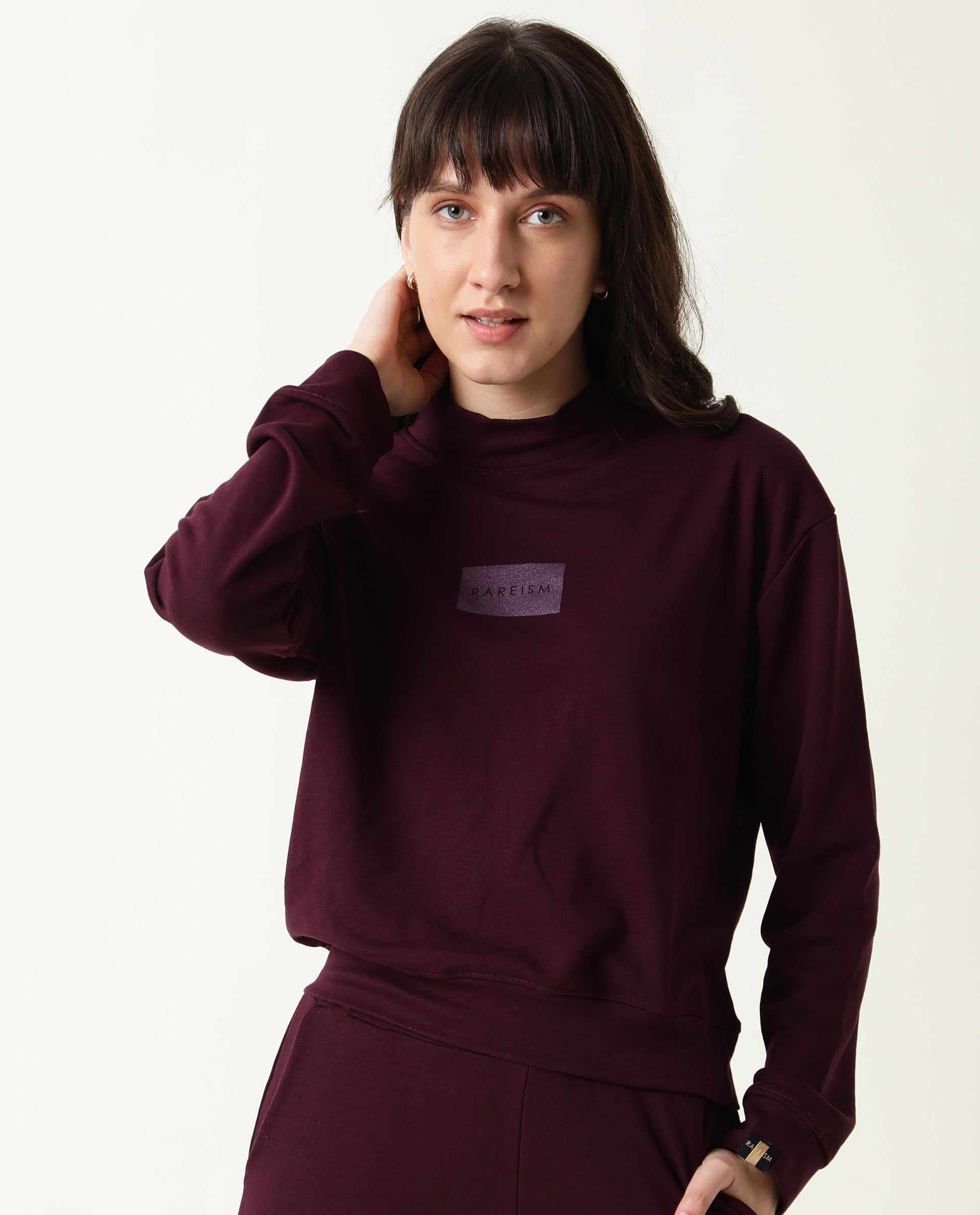 Rareism Women Hectare Dark Purple Cotton Poly Fabric Relaxed Fit Full Sleeves Solid High Neck Sweatshirt