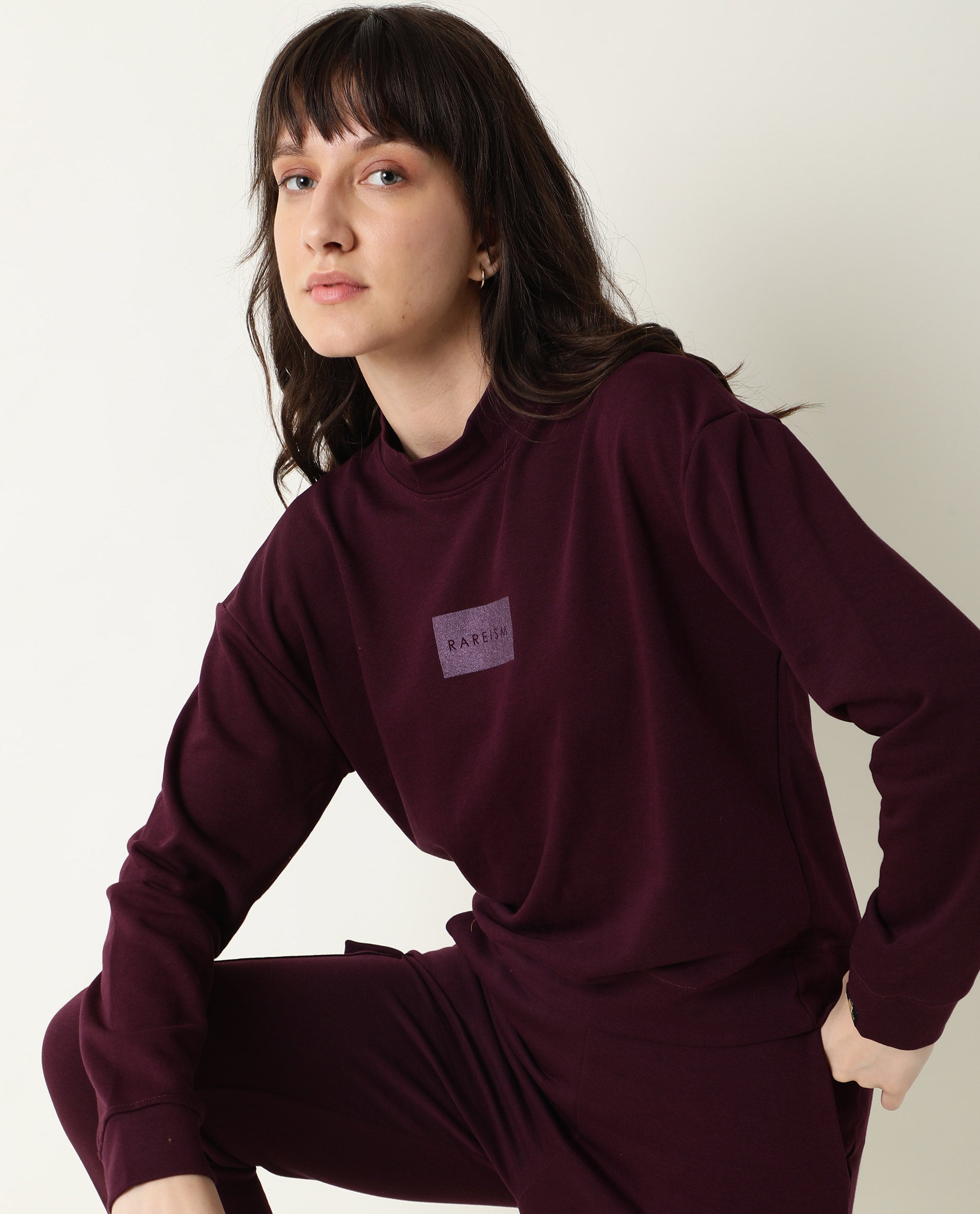 Rareism Women Hectare Dark Purple Cotton Poly Fabric Relaxed Fit Full Sleeves Solid High Neck Sweatshirt