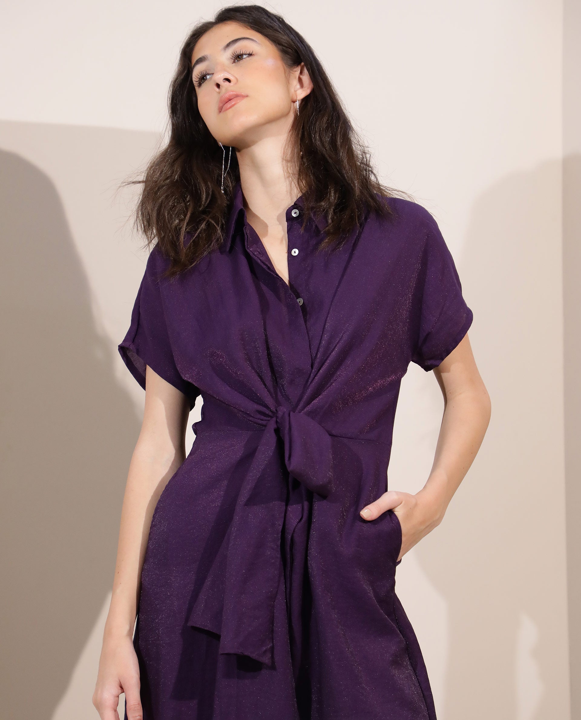 Rareism Women Kori Purple Dress Rayon Nylon Fabric Full Sleeves Solid