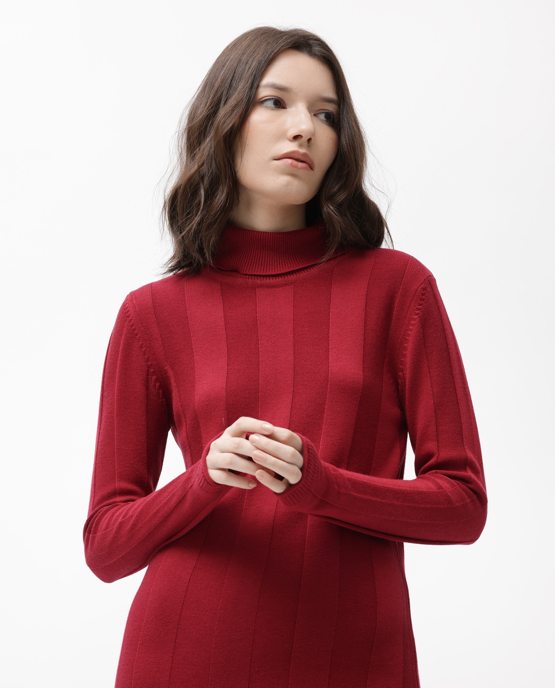 Rareism Women's Knitka Red Cotton Turtle Neck Striped Knee Length Regular Fit Sweater