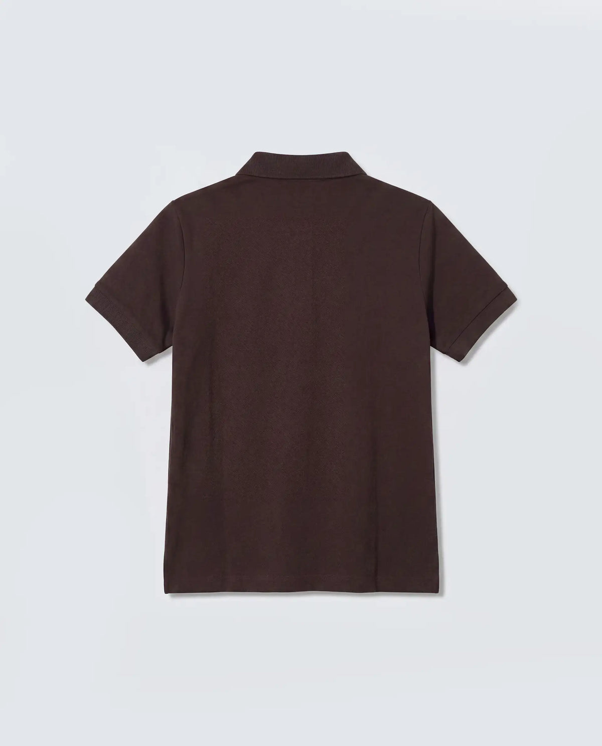 Rareism Women's Basic Rr-Corp-Elane Dark Brown Cotton Blend Collar Regular Plain Polo