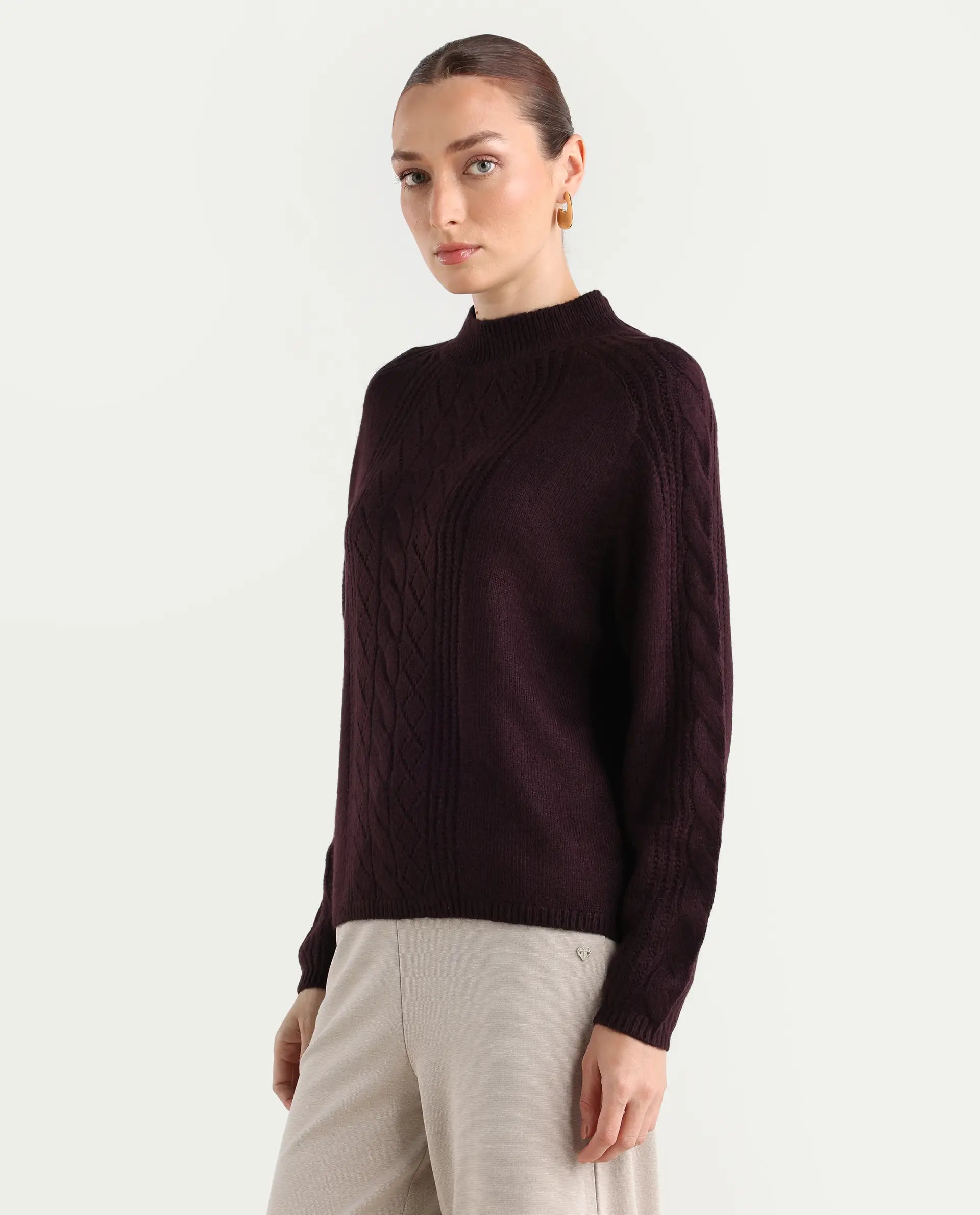 Rareism Women's Zella Dark Maroon Acrylic Blend High Neck Plain Regular Fit Sweater